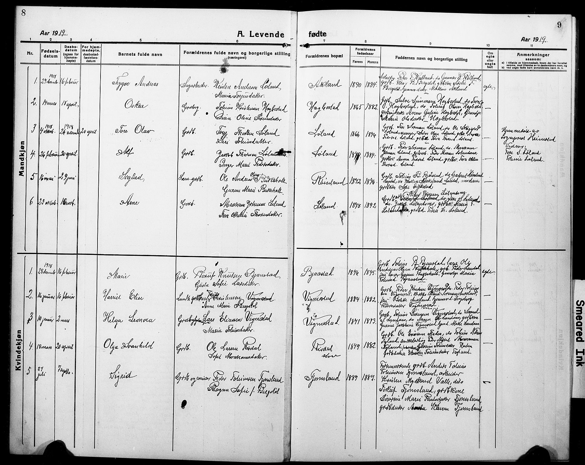 Nord-Audnedal sokneprestkontor, AV/SAK-1111-0032/F/Fb/Fbb/L0005: Parish register (copy) no. B 5, 1918-1929, p. 8-9