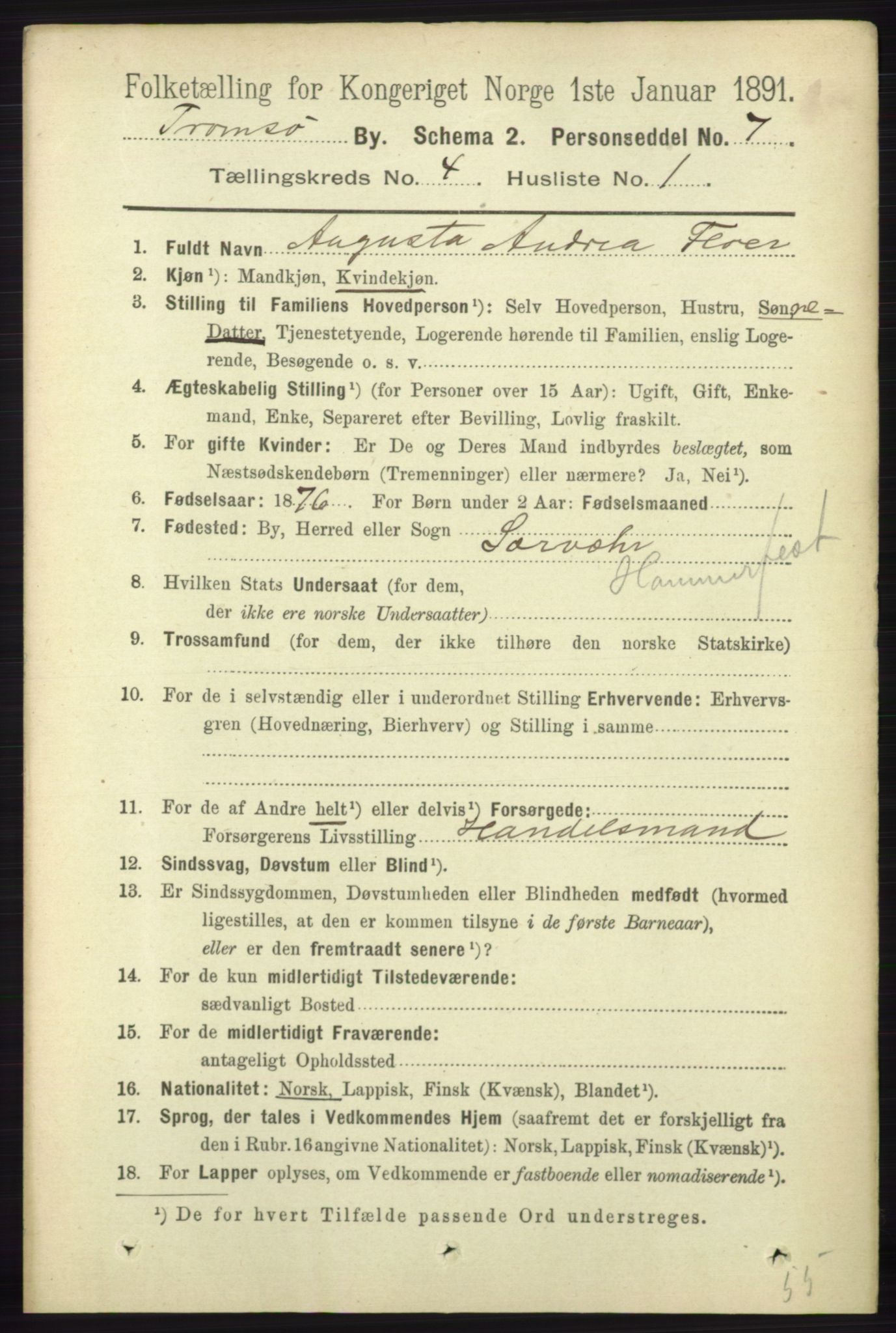 RA, 1891 census for 1902 Tromsø, 1891, p. 4092