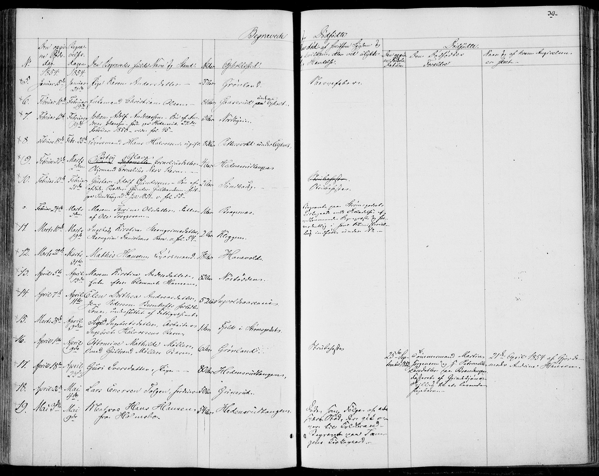 Skoger kirkebøker, AV/SAKO-A-59/F/Fa/L0003: Parish register (official) no. I 3, 1842-1861, p. 313