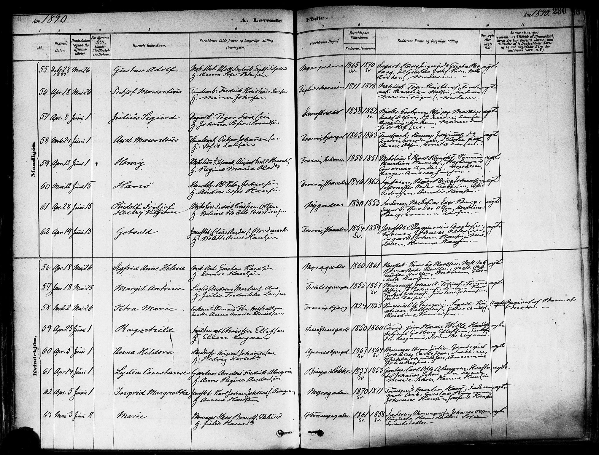 Fredrikstad domkirkes prestekontor Kirkebøker, SAO/A-10906/F/Fa/L0002: Parish register (official) no. 2, 1878-1894, p. 230