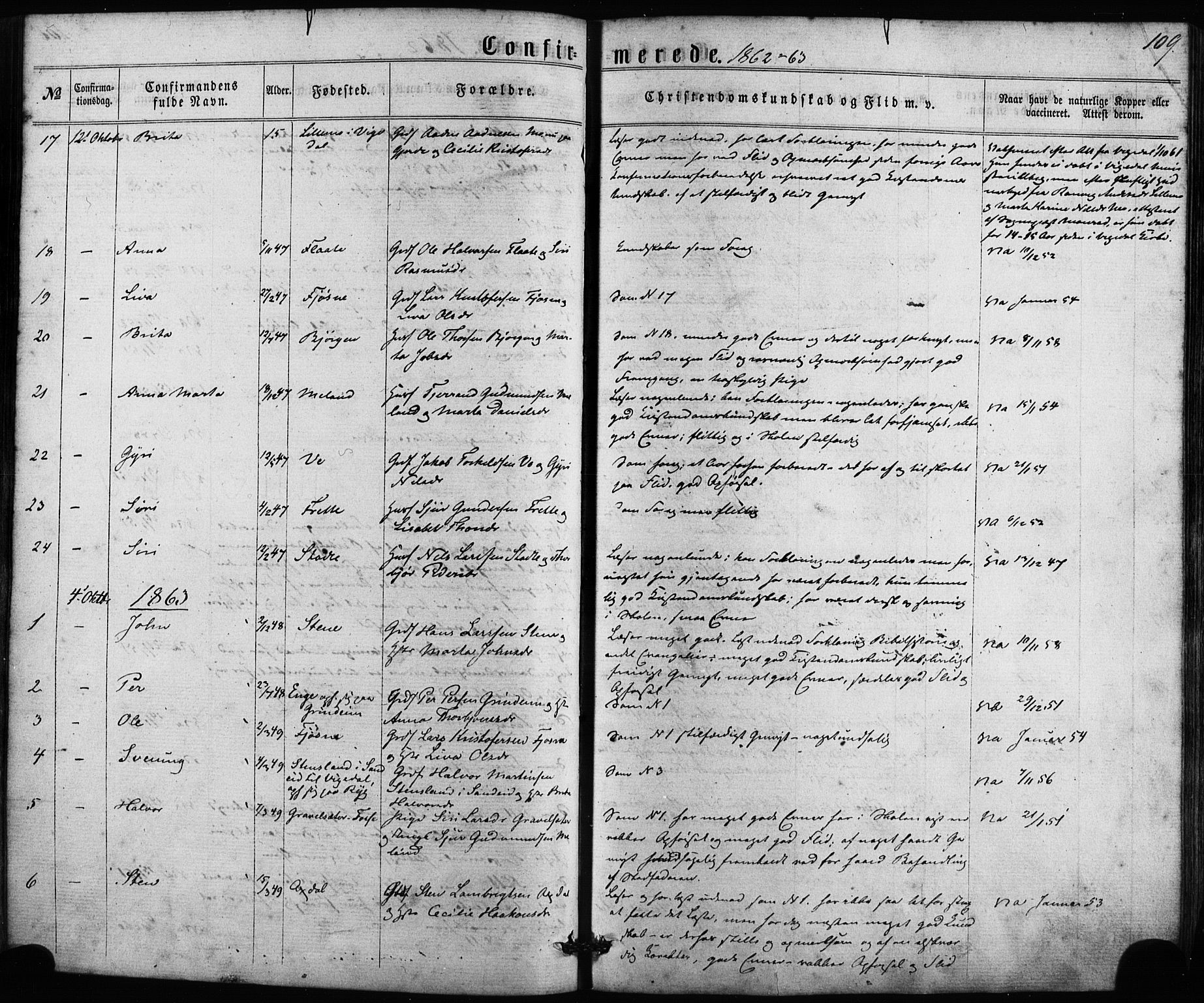 Etne sokneprestembete, SAB/A-75001/H/Haa: Parish register (official) no. A 9, 1862-1878, p. 109