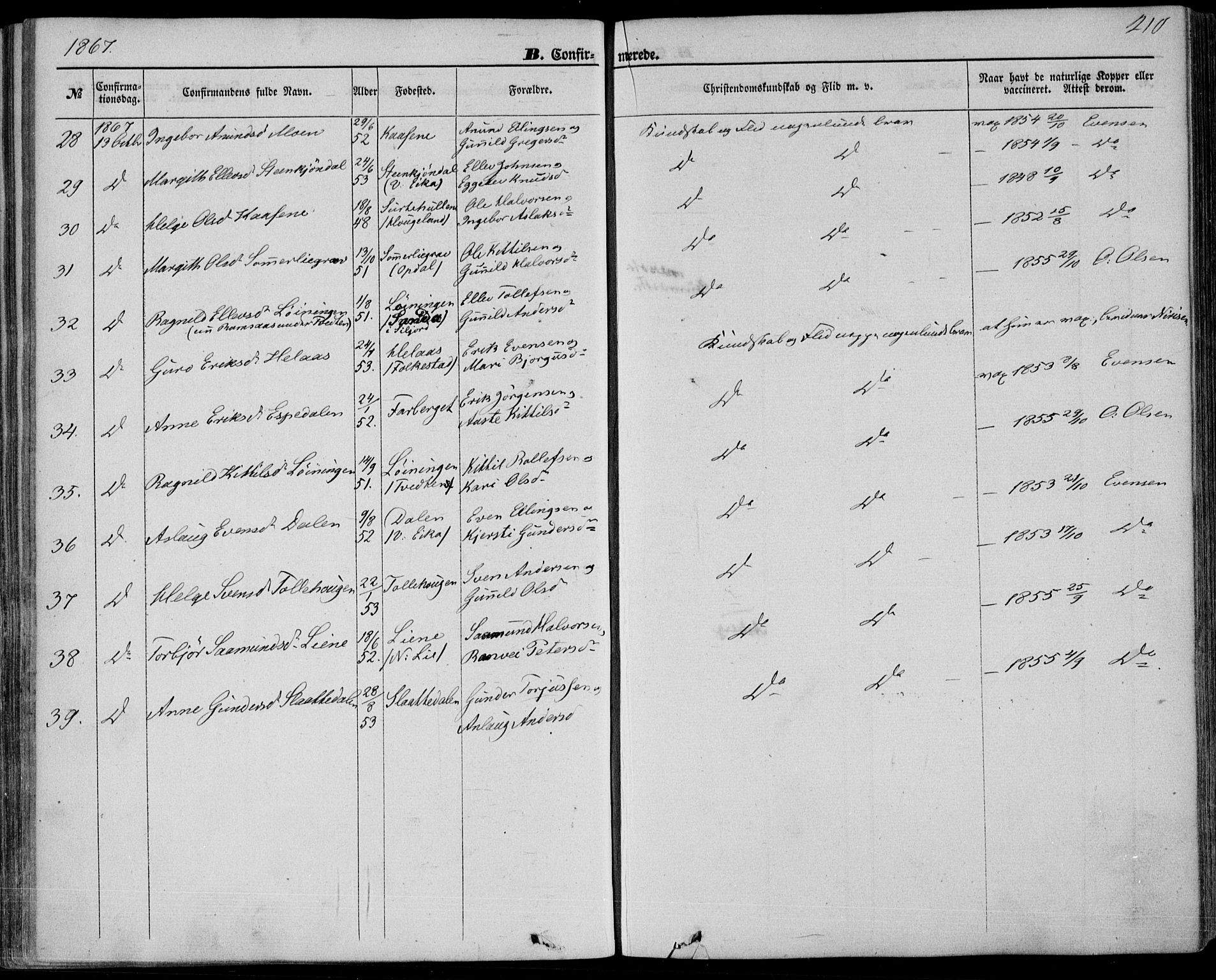 Bø kirkebøker, SAKO/A-257/F/Fa/L0009: Parish register (official) no. 9, 1862-1879, p. 210