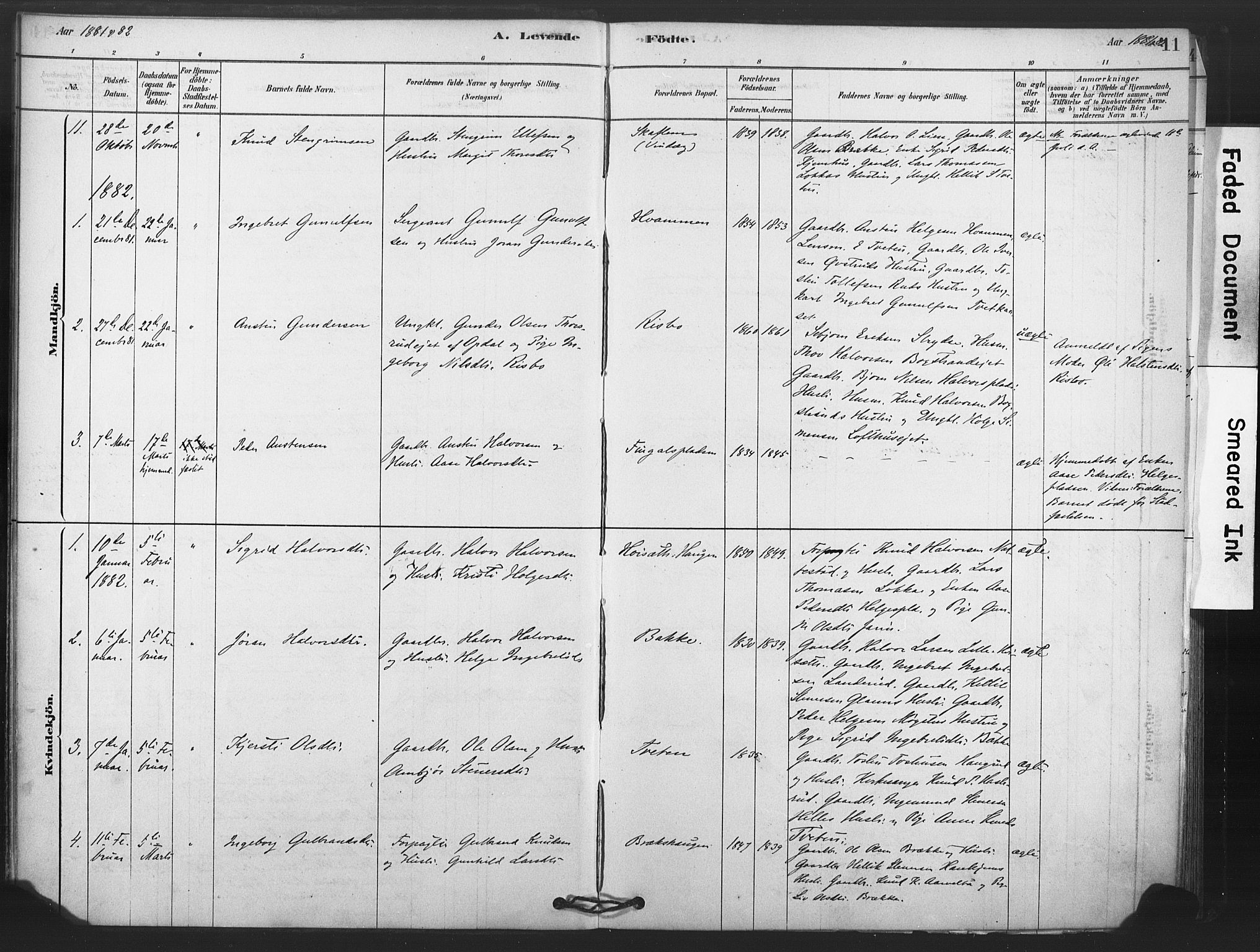 Rollag kirkebøker, SAKO/A-240/F/Fb/L0001: Parish register (official) no. II 1, 1878-1899, p. 11