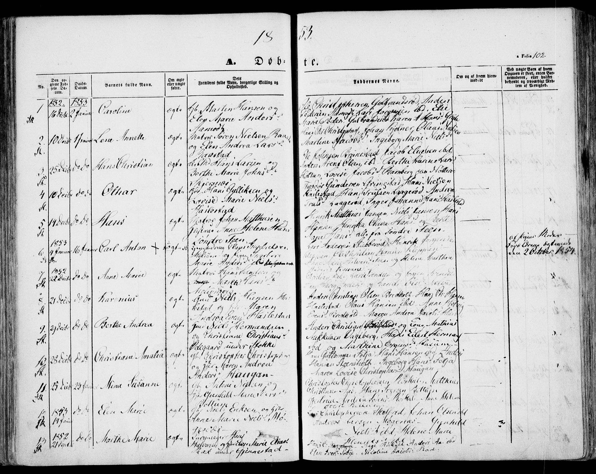 Stokke kirkebøker, AV/SAKO-A-320/F/Fa/L0007: Parish register (official) no. I 7, 1844-1857, p. 102