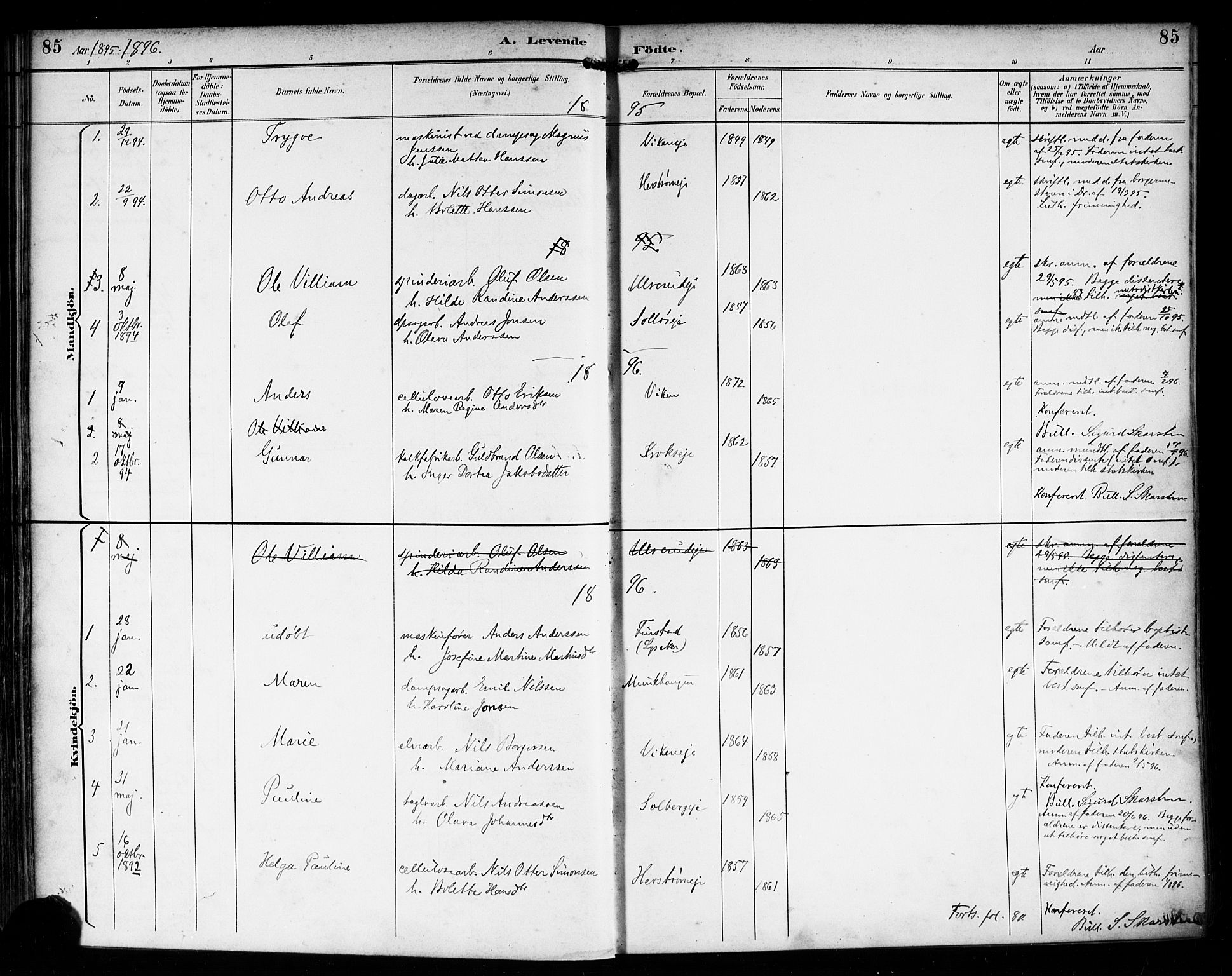 Nedre Eiker kirkebøker, AV/SAKO-A-612/F/Fa/L0004: Parish register (official) no. 4, 1893-1898, p. 85