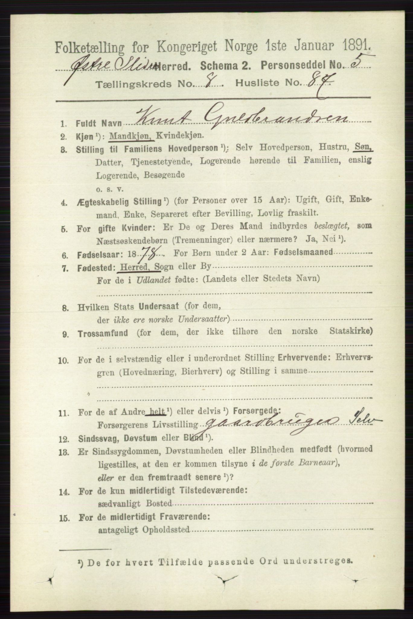 RA, 1891 census for 0544 Øystre Slidre, 1891, p. 3010