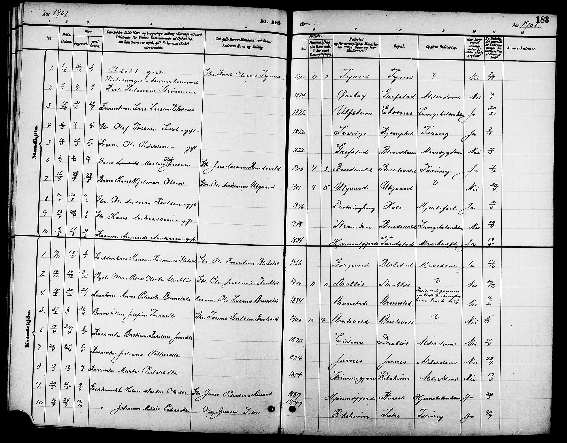 Ministerialprotokoller, klokkerbøker og fødselsregistre - Møre og Romsdal, AV/SAT-A-1454/523/L0340: Parish register (copy) no. 523C03, 1892-1902, p. 183