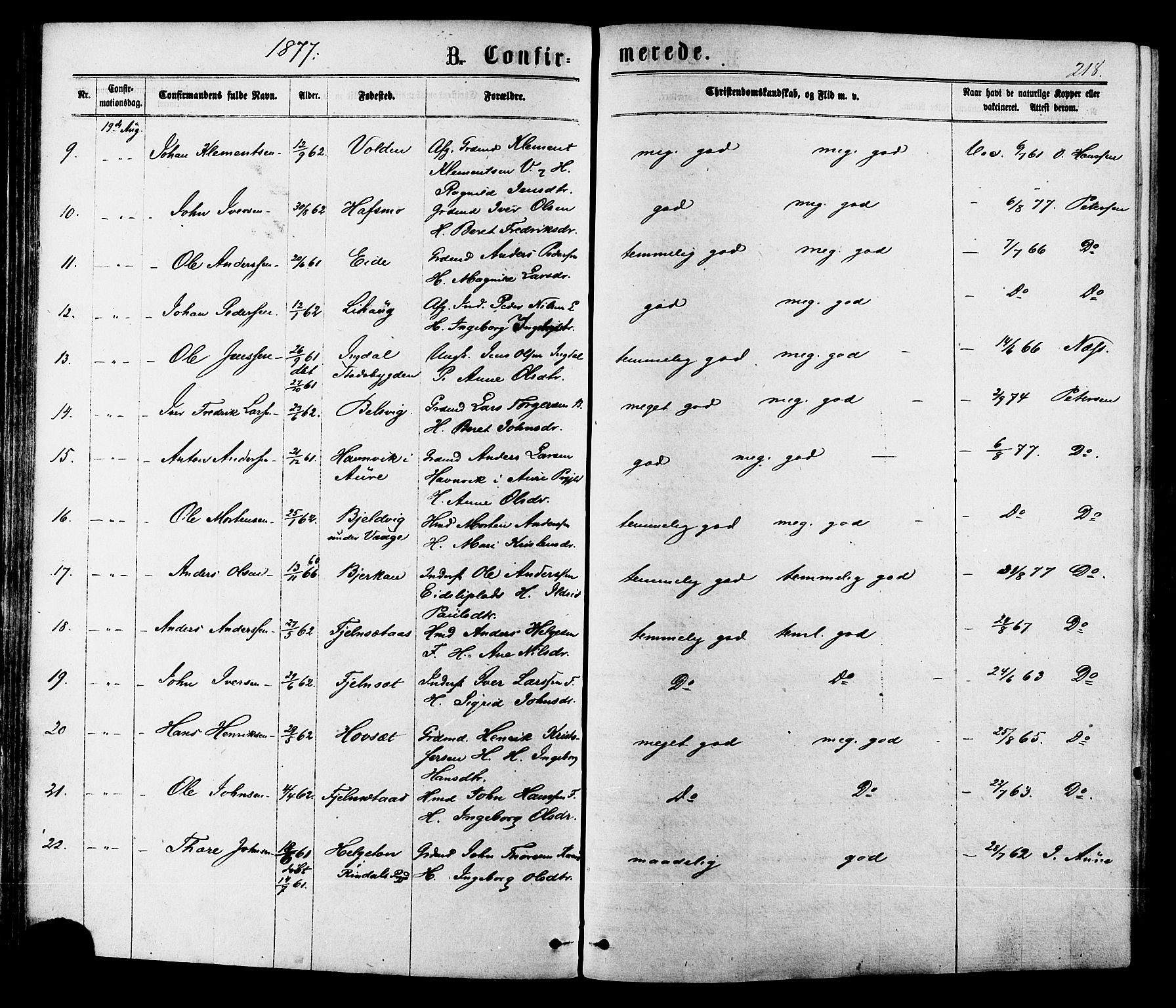 Ministerialprotokoller, klokkerbøker og fødselsregistre - Sør-Trøndelag, SAT/A-1456/630/L0495: Parish register (official) no. 630A08, 1868-1878, p. 218