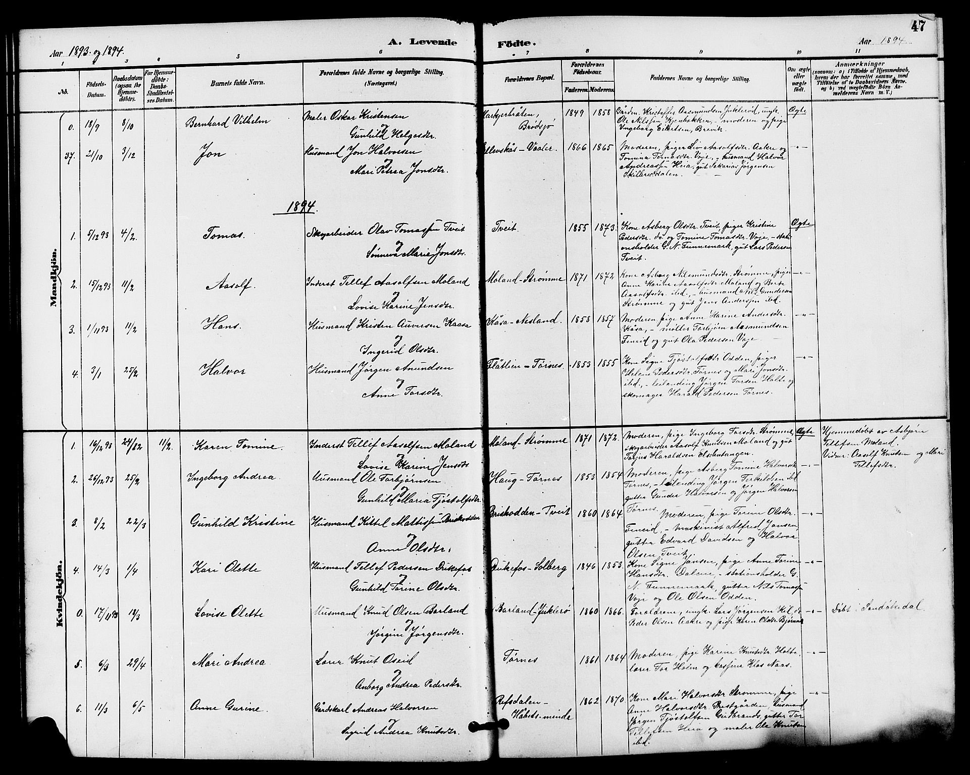 Drangedal kirkebøker, SAKO/A-258/G/Ga/L0003: Parish register (copy) no. I 3, 1887-1906, p. 47