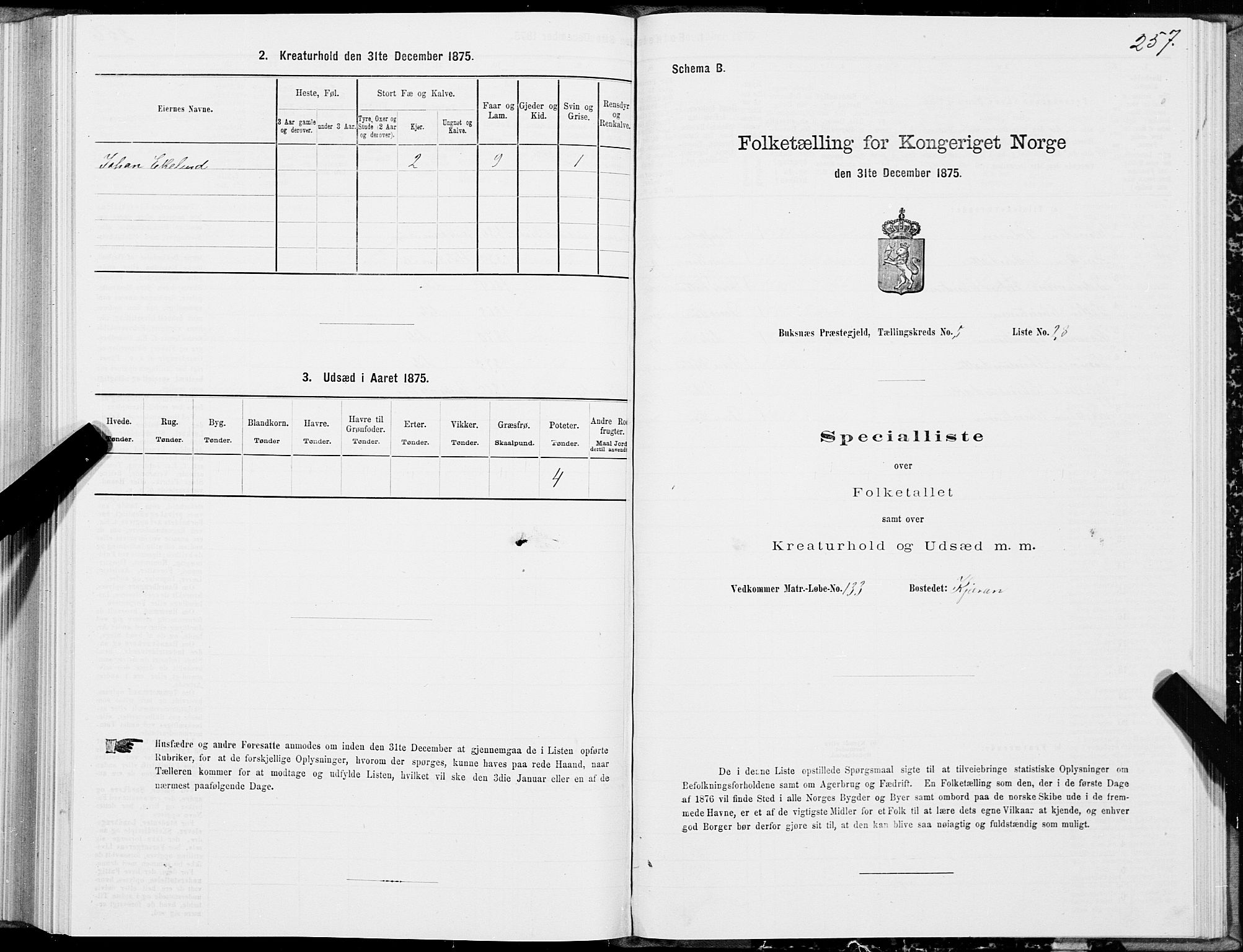 SAT, 1875 census for 1860P Buksnes, 1875, p. 2257