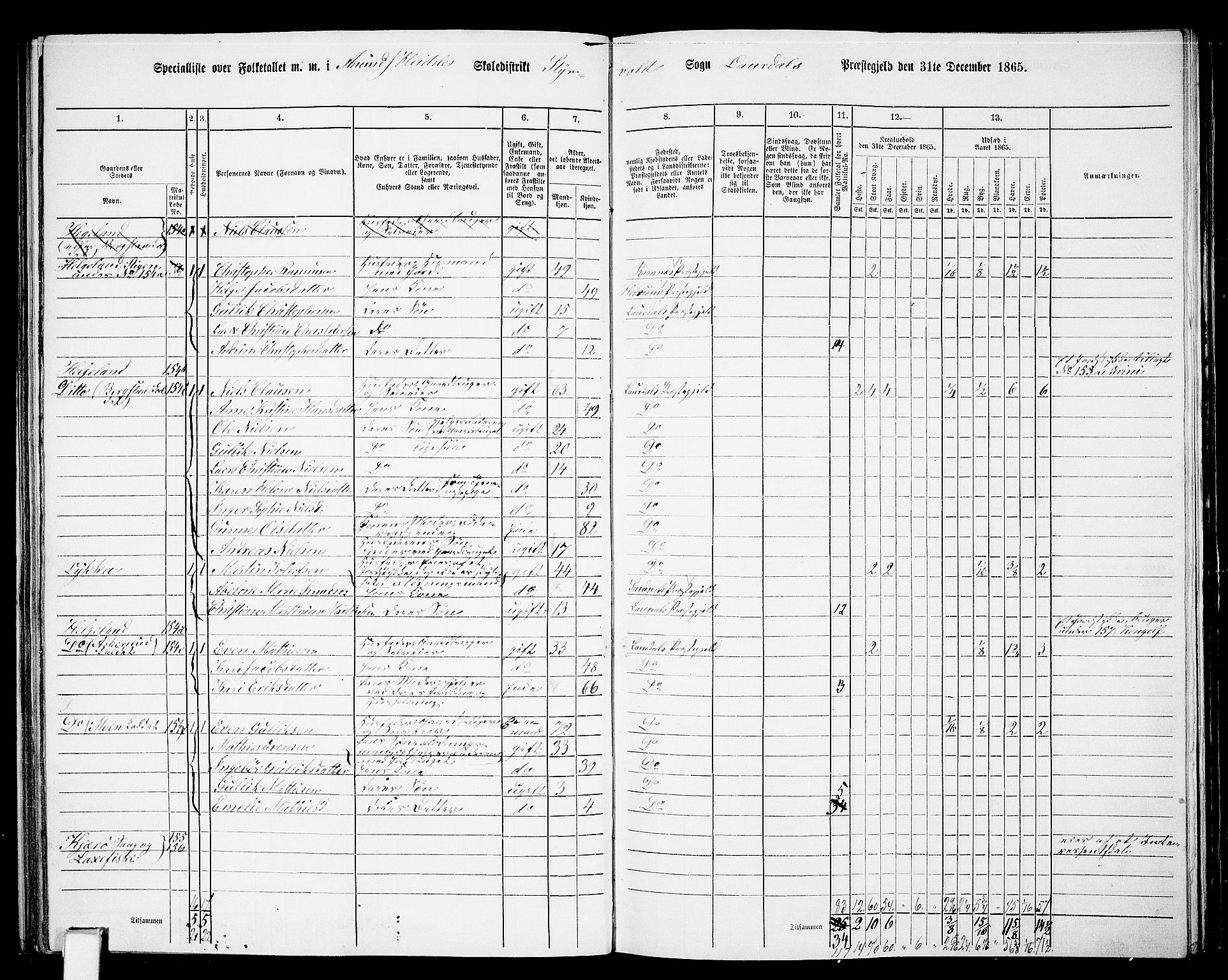 RA, 1865 census for Lardal, 1865, p. 67