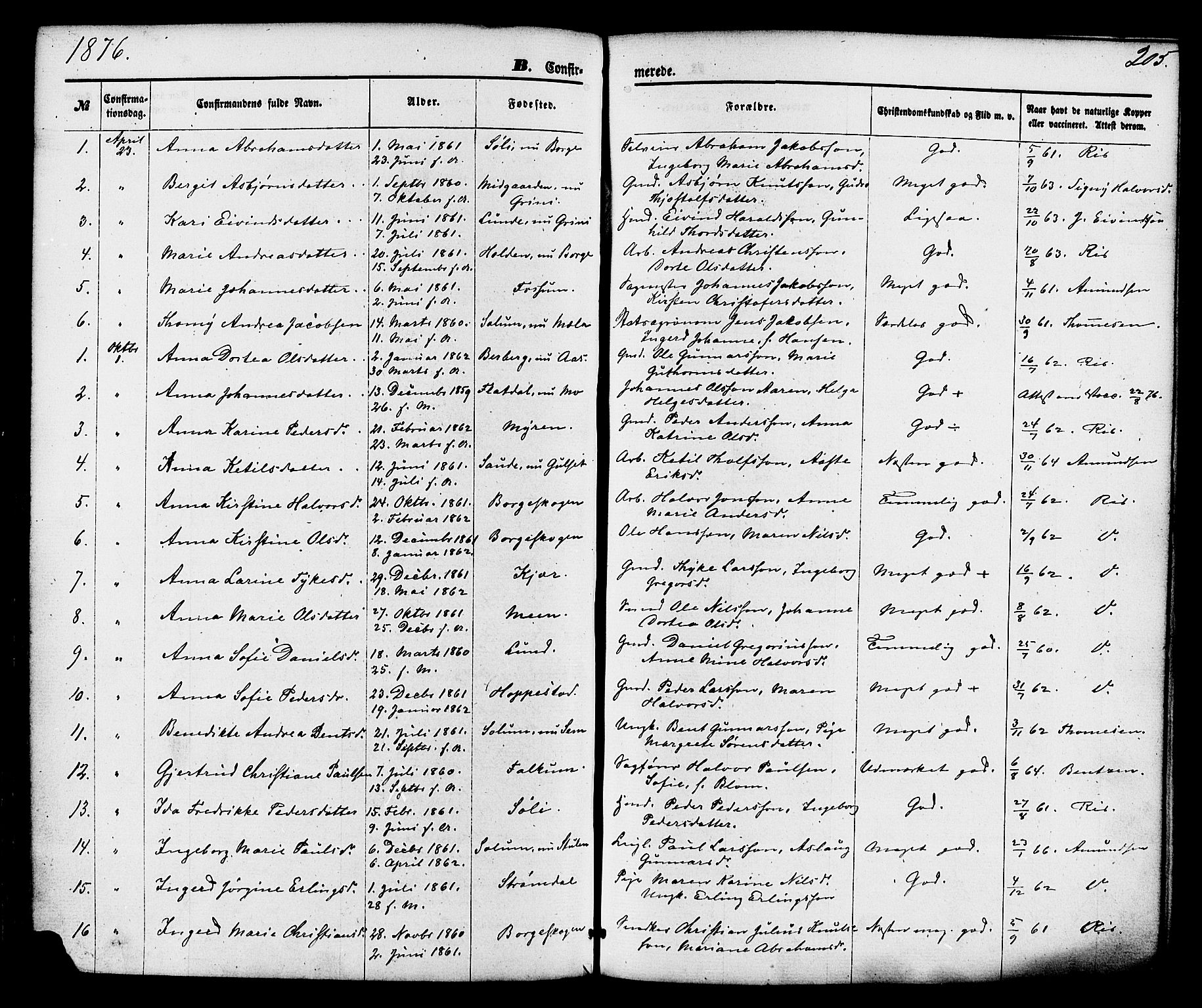 Gjerpen kirkebøker, SAKO/A-265/F/Fa/L0009: Parish register (official) no. I 9, 1872-1885, p. 205