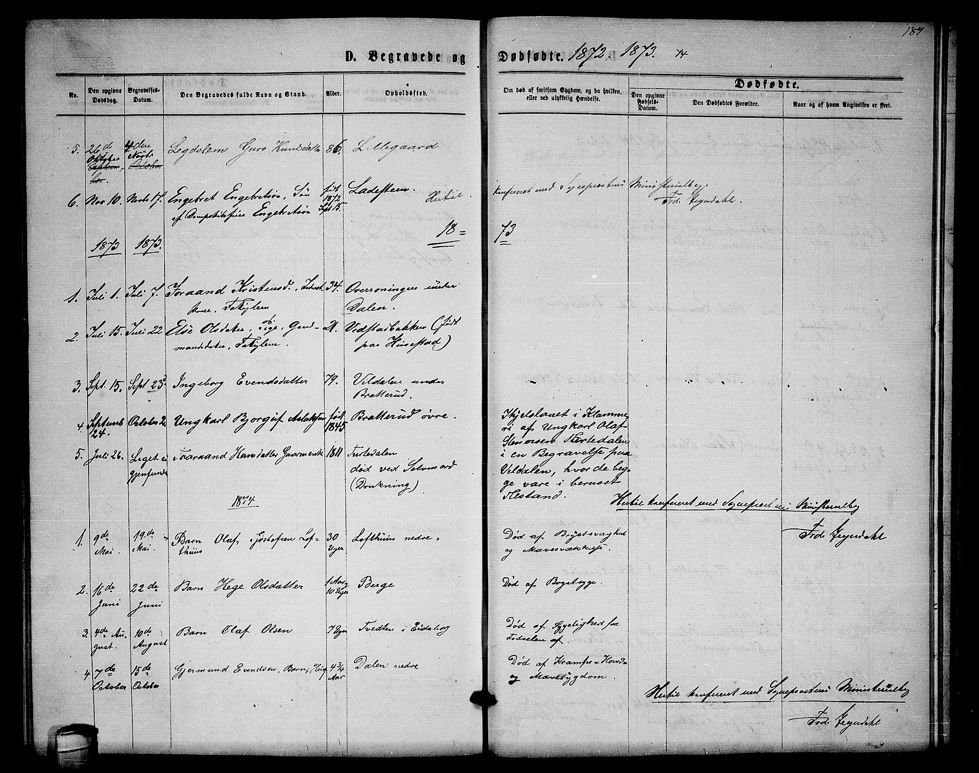 Lårdal kirkebøker, SAKO/A-284/G/Gb/L0002: Parish register (copy) no. II 2, 1865-1888, p. 187