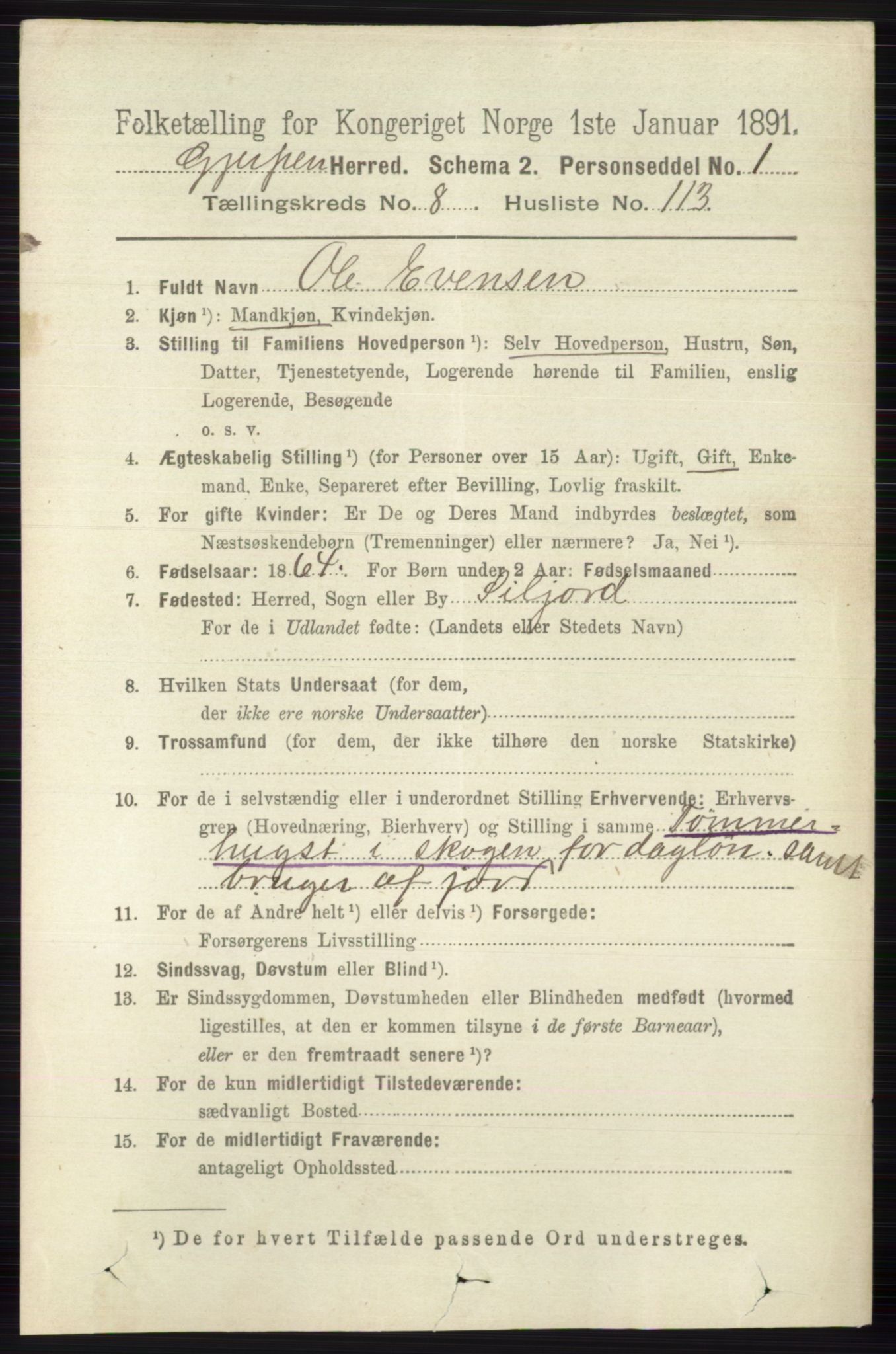 RA, 1891 census for 0812 Gjerpen, 1891, p. 4761