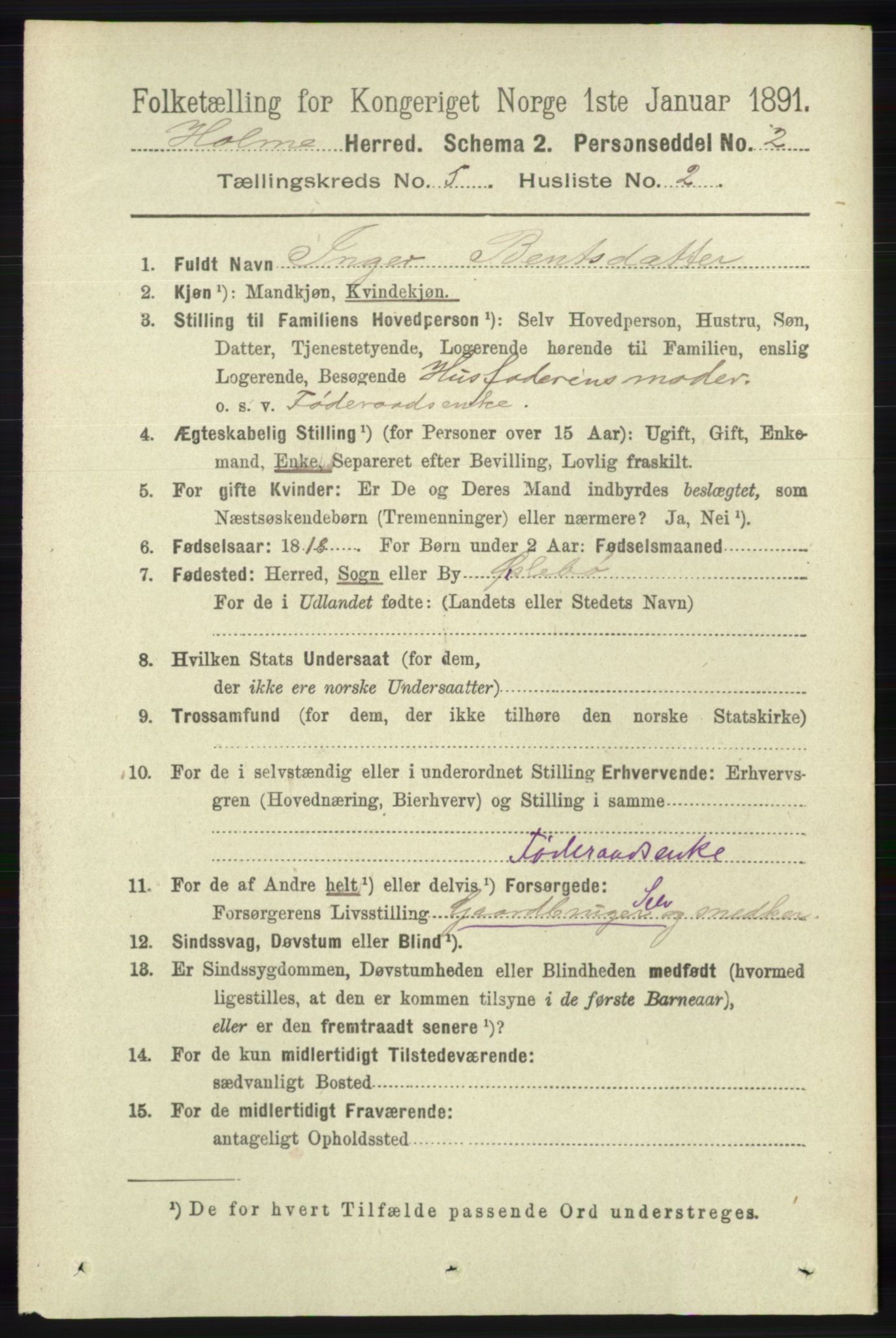 RA, 1891 census for 1020 Holum, 1891, p. 1241