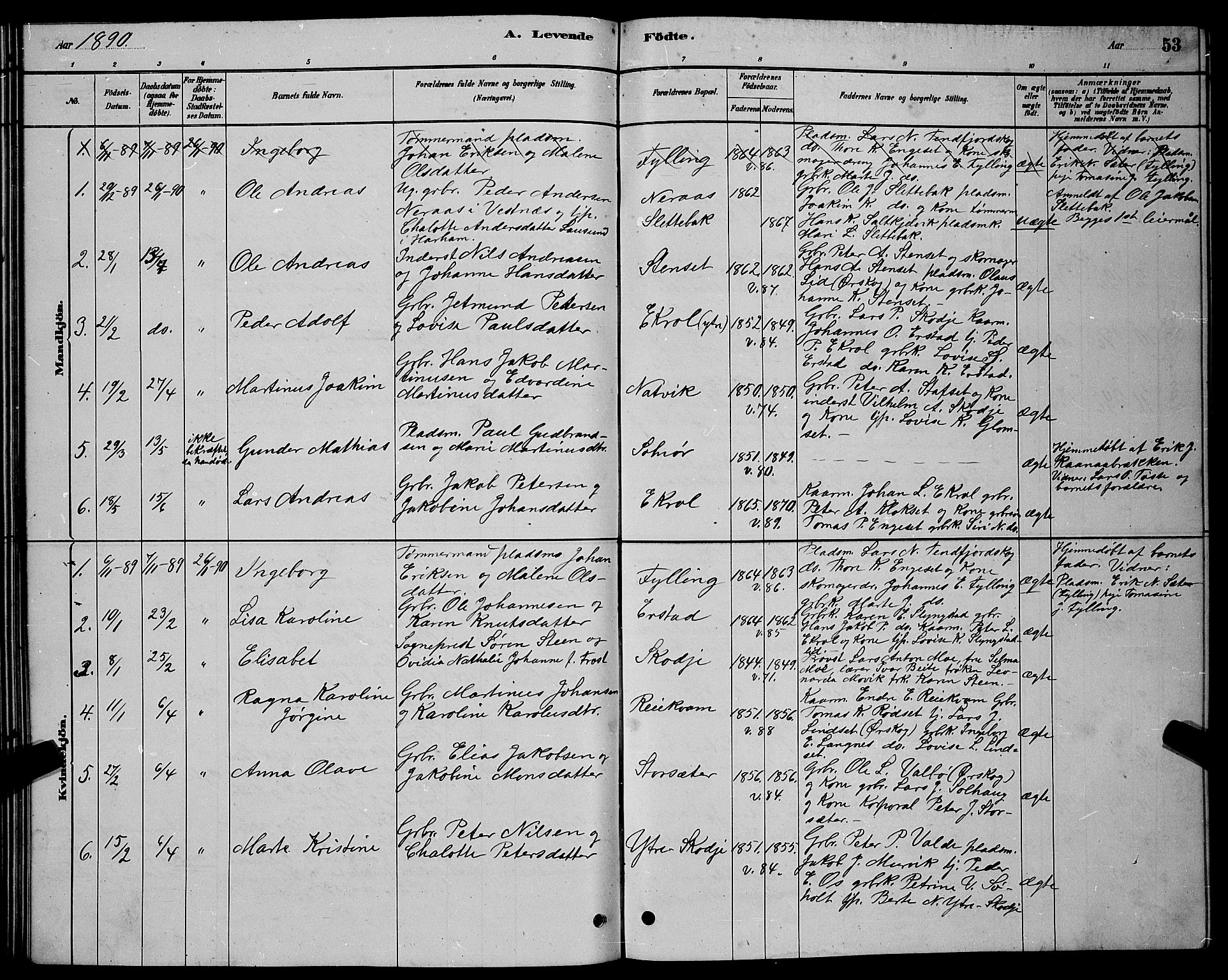 Ministerialprotokoller, klokkerbøker og fødselsregistre - Møre og Romsdal, AV/SAT-A-1454/524/L0365: Parish register (copy) no. 524C06, 1880-1899, p. 53