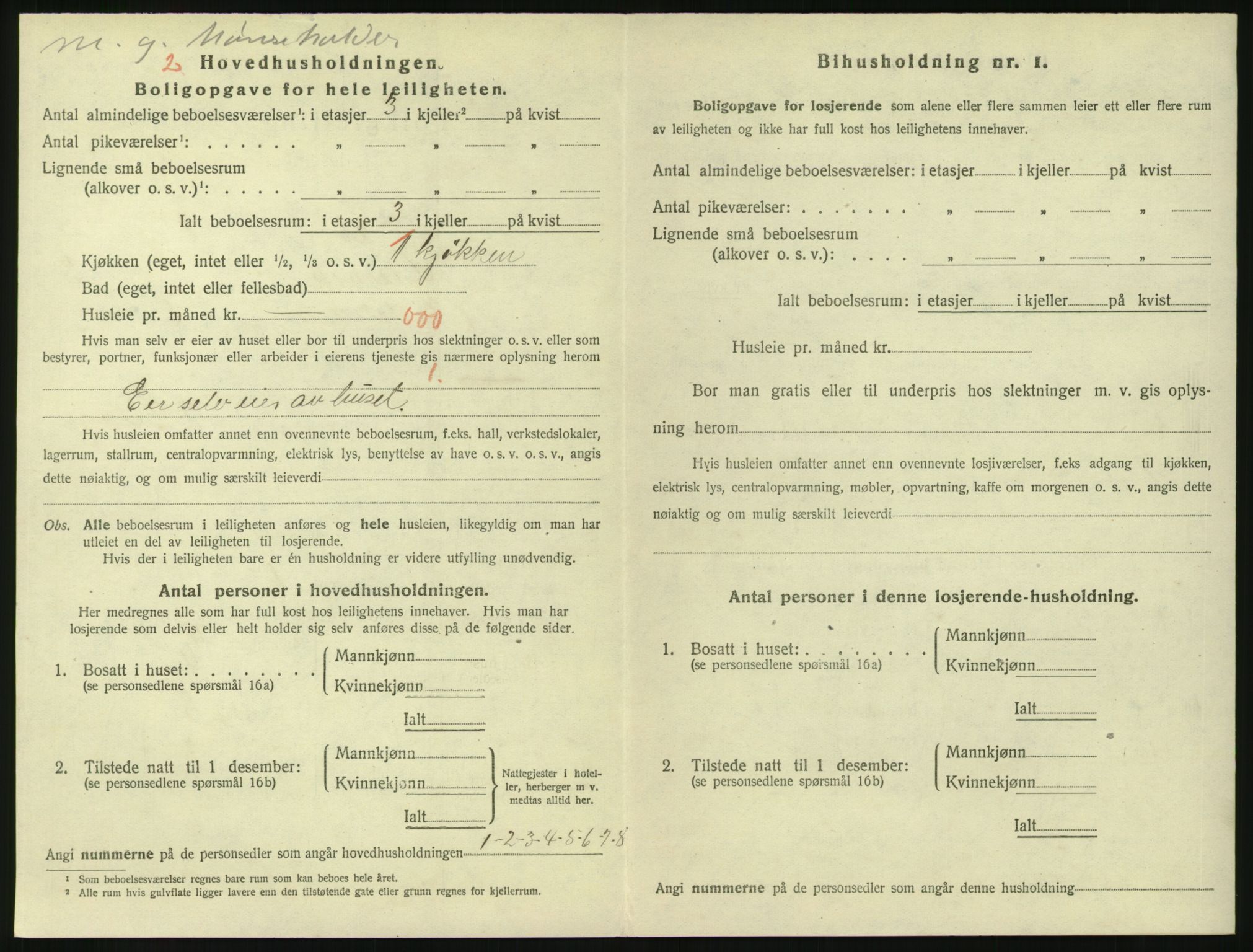 SAKO, 1920 census for Larvik, 1920, p. 3981