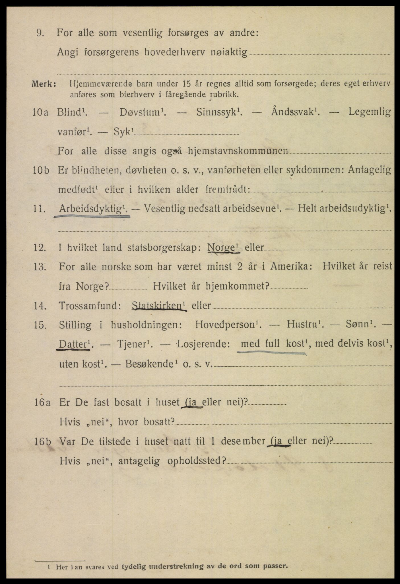 SAT, 1920 census for Steinkjer, 1920, p. 6311