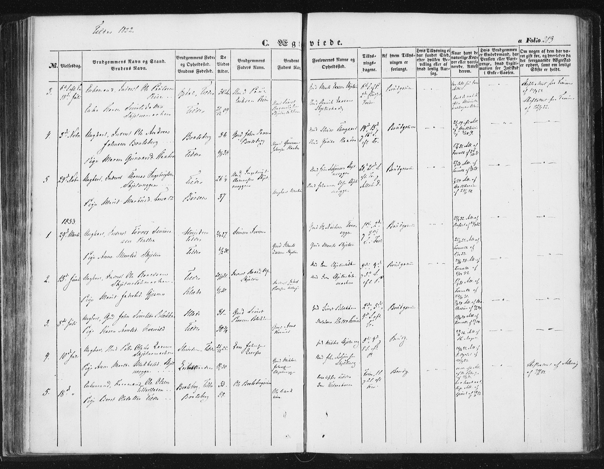 Ministerialprotokoller, klokkerbøker og fødselsregistre - Sør-Trøndelag, SAT/A-1456/618/L0441: Parish register (official) no. 618A05, 1843-1862, p. 213