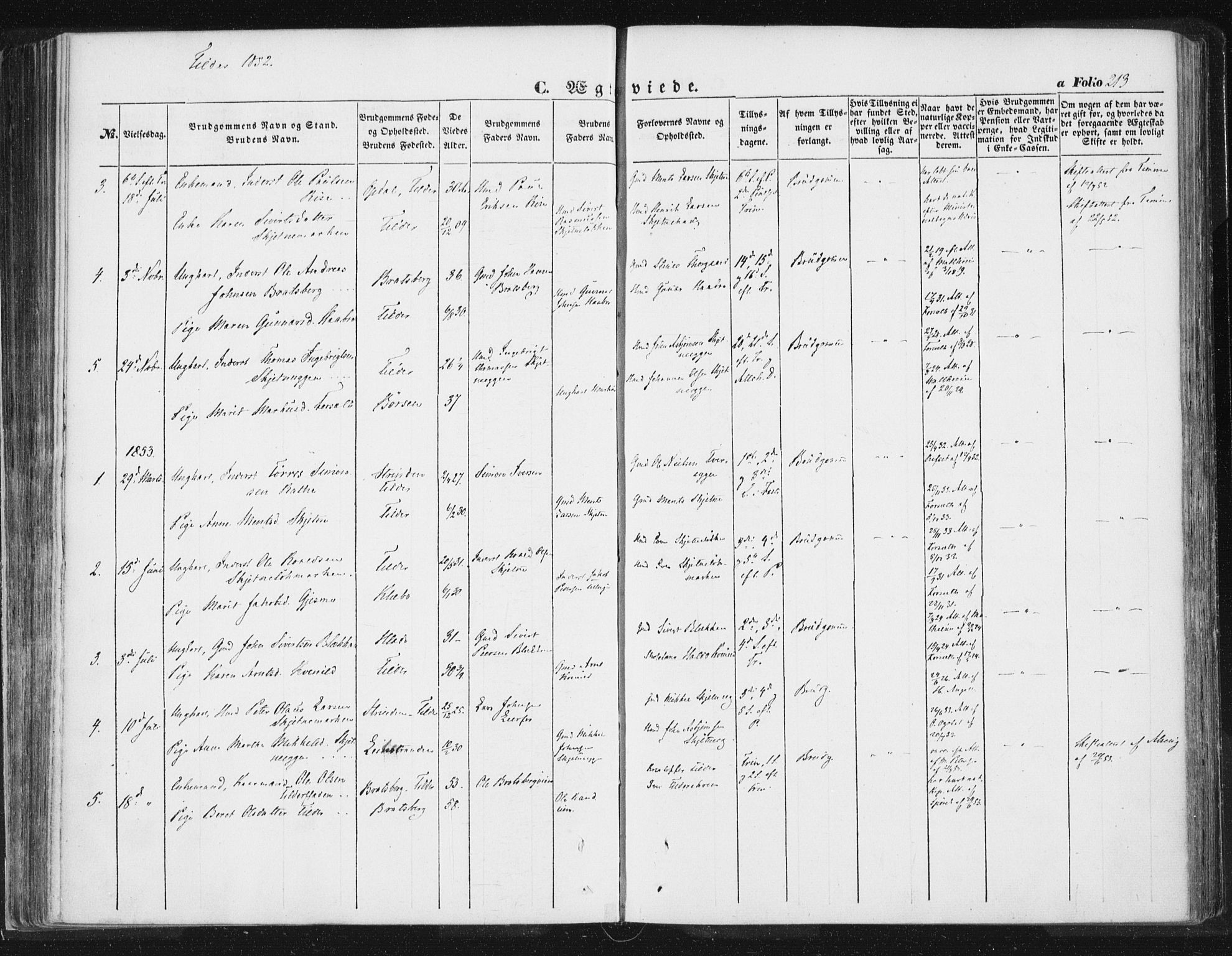 Ministerialprotokoller, klokkerbøker og fødselsregistre - Sør-Trøndelag, AV/SAT-A-1456/618/L0441: Parish register (official) no. 618A05, 1843-1862, p. 213