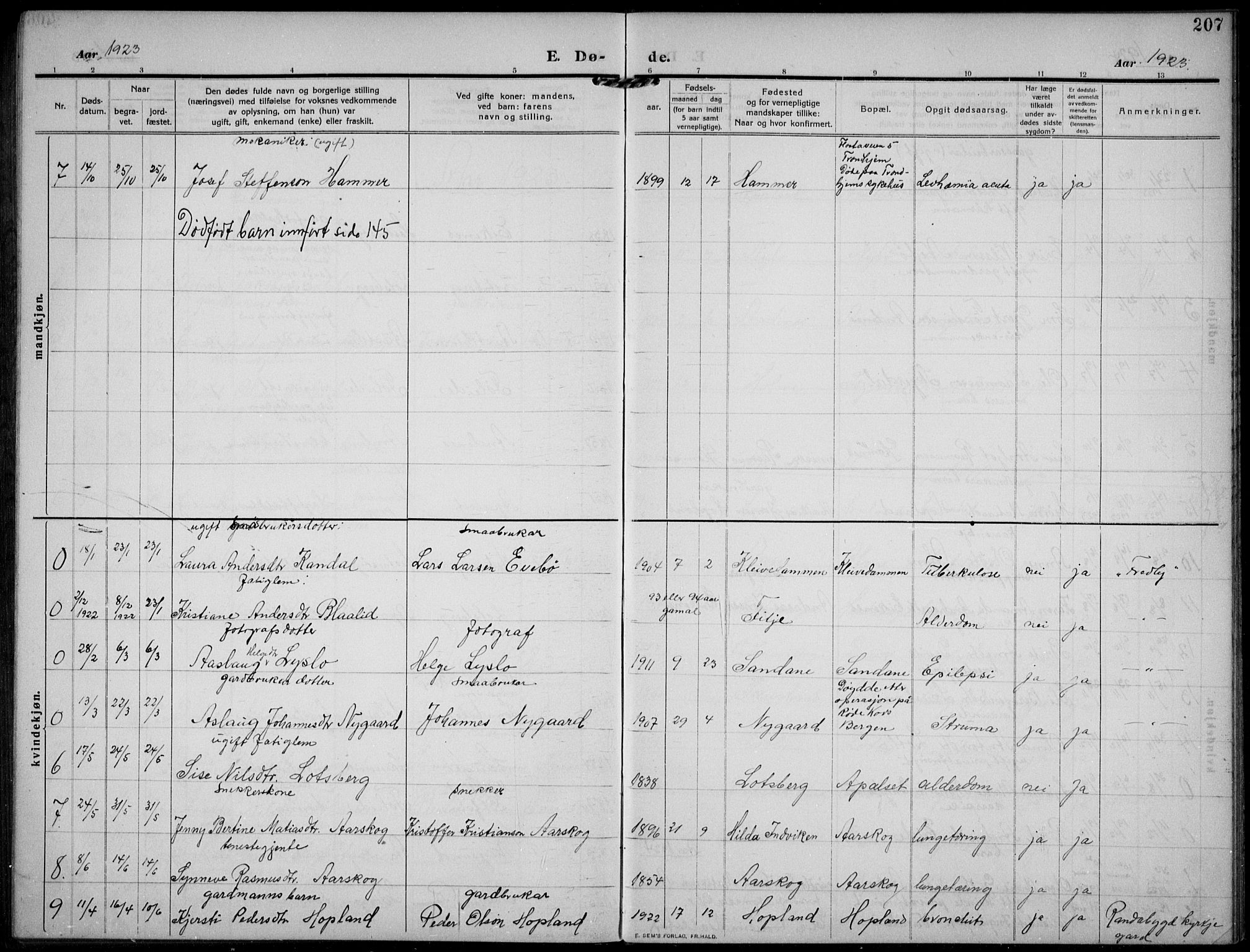 Gloppen sokneprestembete, AV/SAB-A-80101/H/Hab/Habb/L0003: Parish register (copy) no. B 3, 1910-1933, p. 207