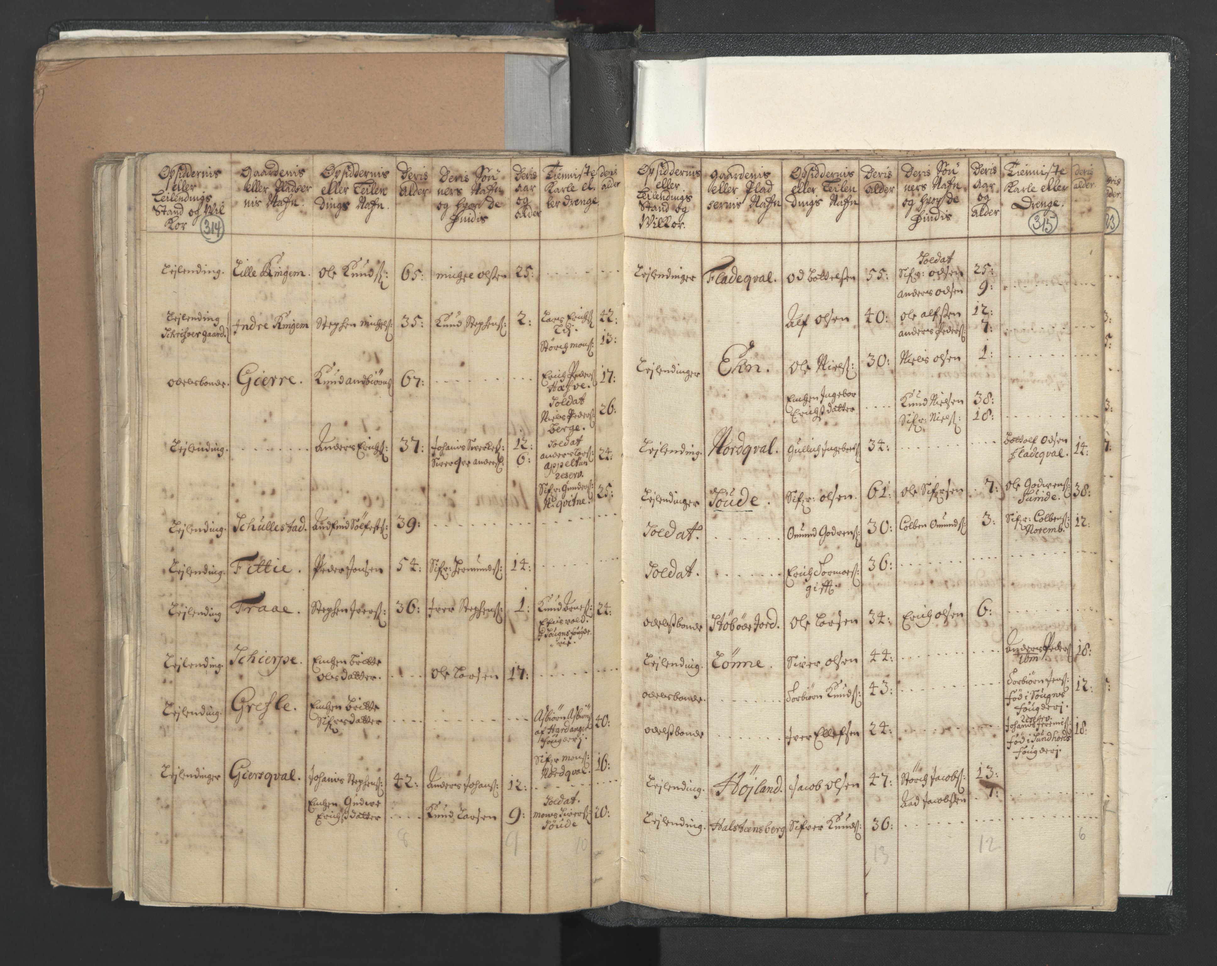 RA, Census (manntall) 1701, no. 7: Nordhordland and Voss fogderi, 1701, p. 314-315