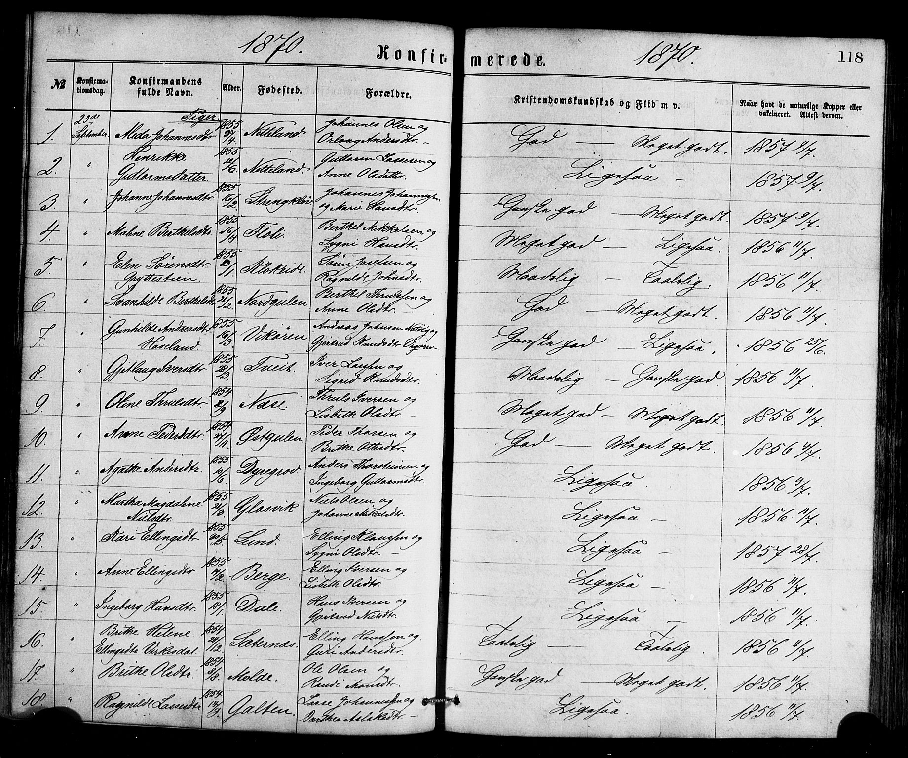 Gulen sokneprestembete, AV/SAB-A-80201/H/Haa/Haaa/L0023: Parish register (official) no. A 23, 1870-1880, p. 118