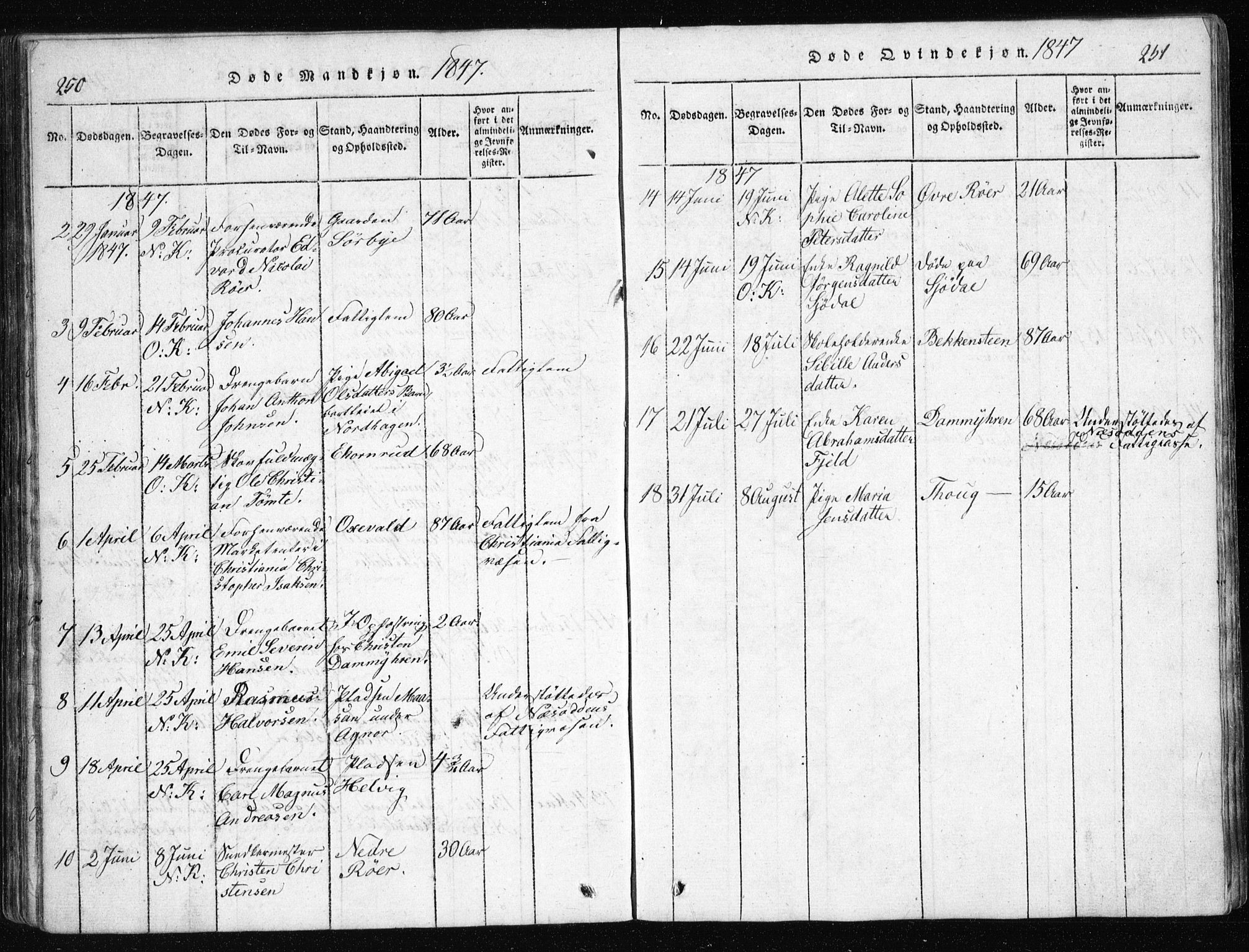 Nesodden prestekontor Kirkebøker, AV/SAO-A-10013/G/Ga/L0001: Parish register (copy) no. I 1, 1814-1847, p. 250-251