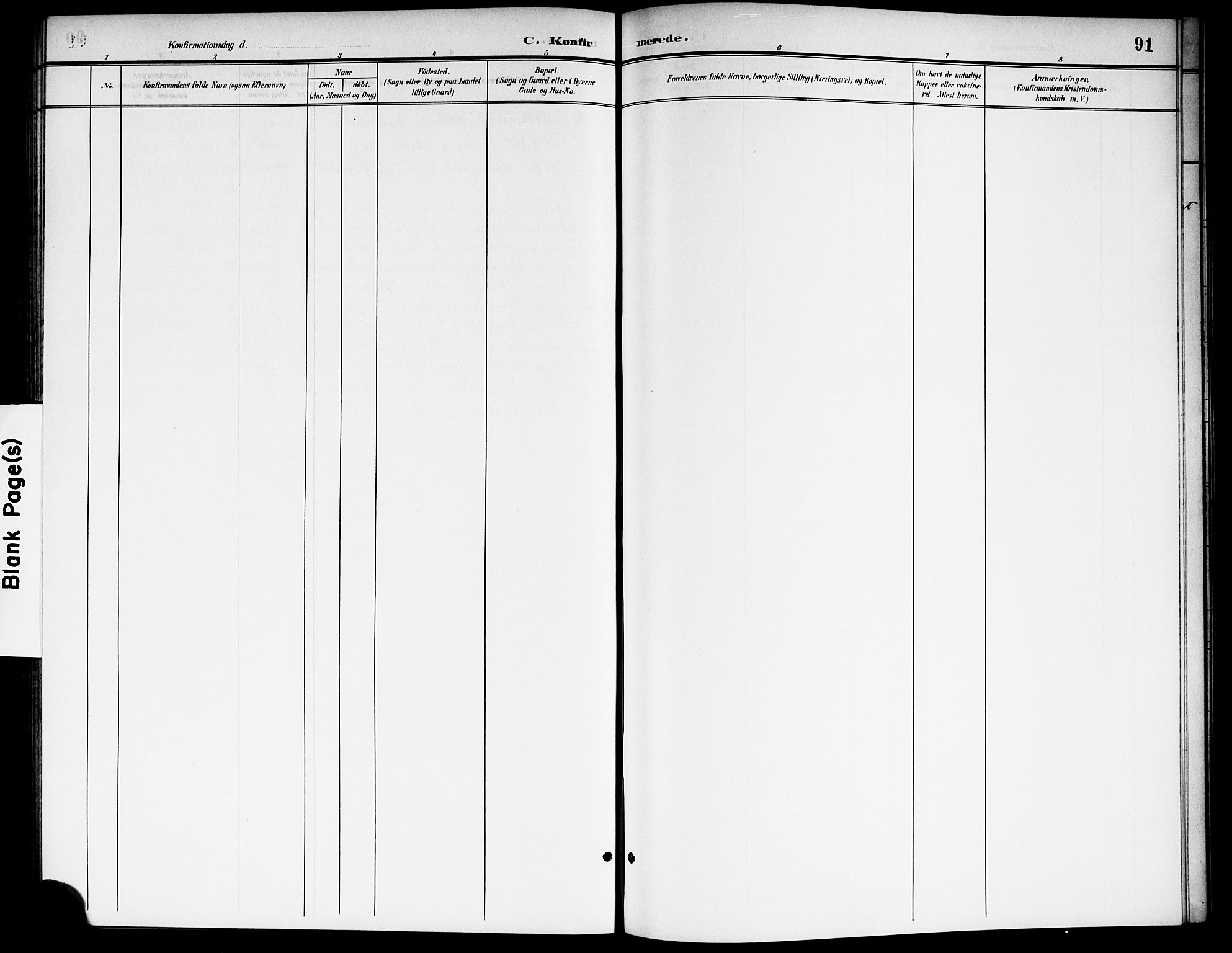 Nes prestekontor Kirkebøker, AV/SAO-A-10410/G/Gb/L0001: Parish register (copy) no. II 1, 1901-1917, p. 91