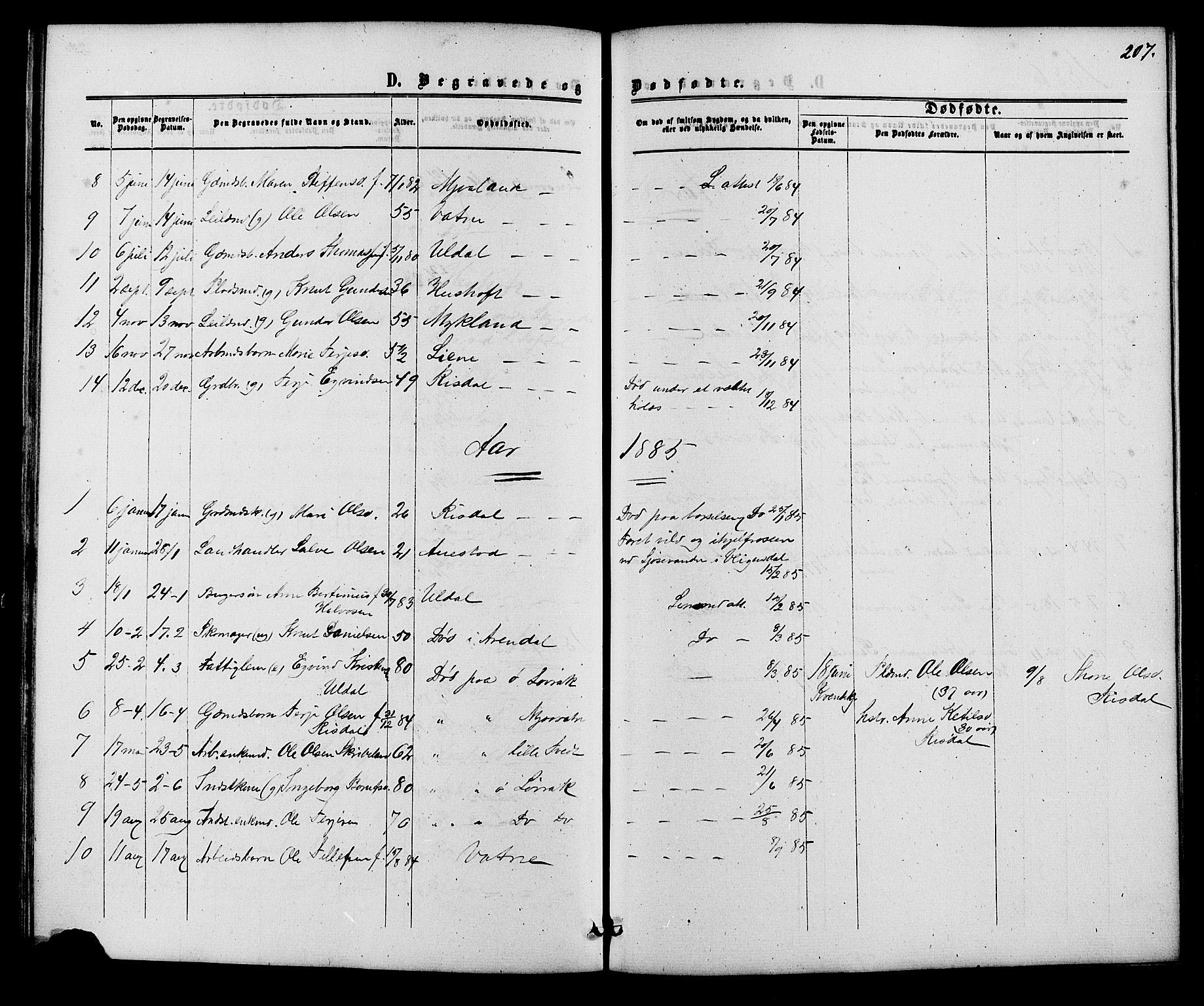 Herefoss sokneprestkontor, AV/SAK-1111-0019/F/Fb/Fbc/L0002: Parish register (copy) no. B 2, 1867-1886, p. 207