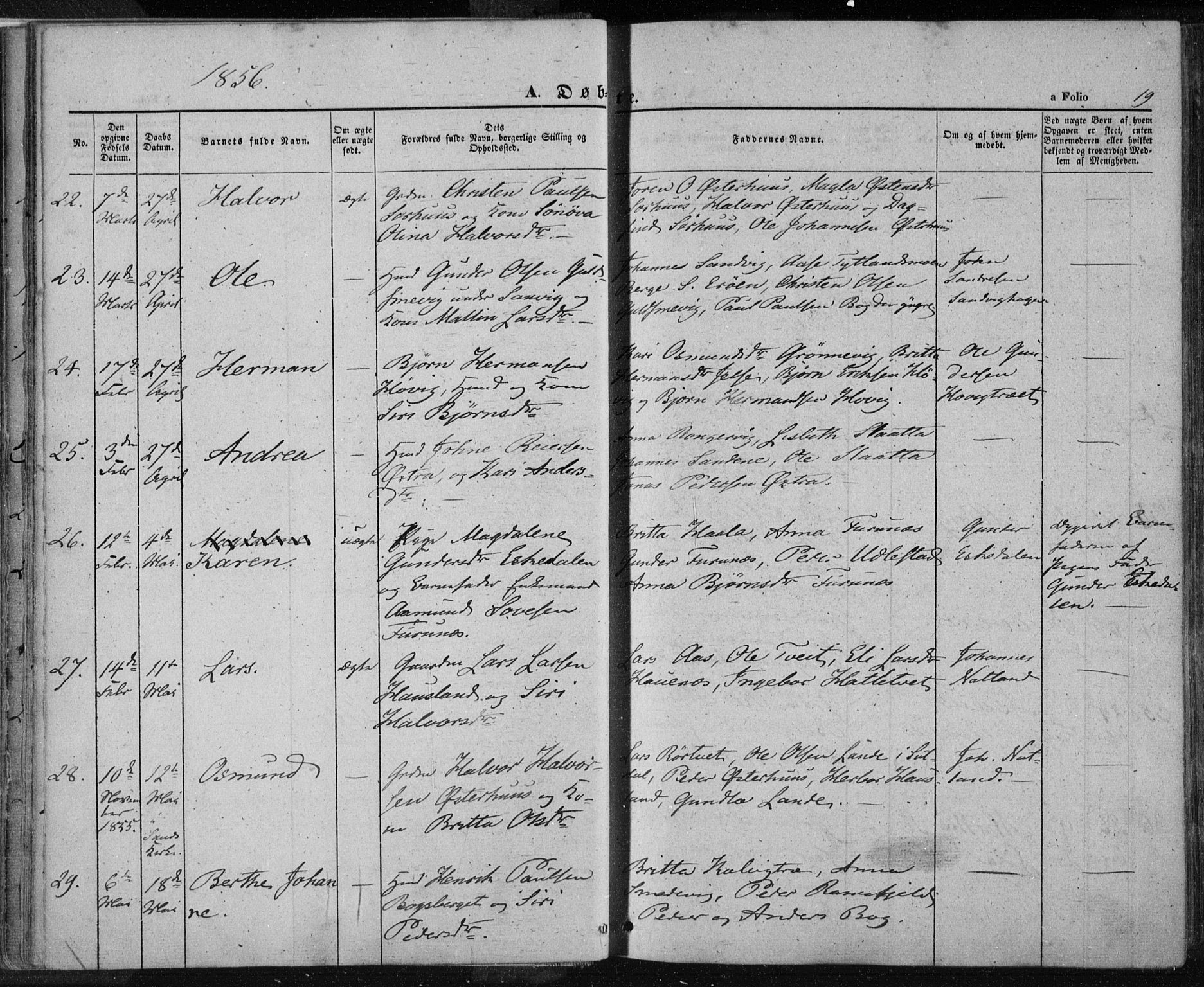 Jelsa sokneprestkontor, AV/SAST-A-101842/01/IV: Parish register (official) no. A 7, 1854-1866, p. 19