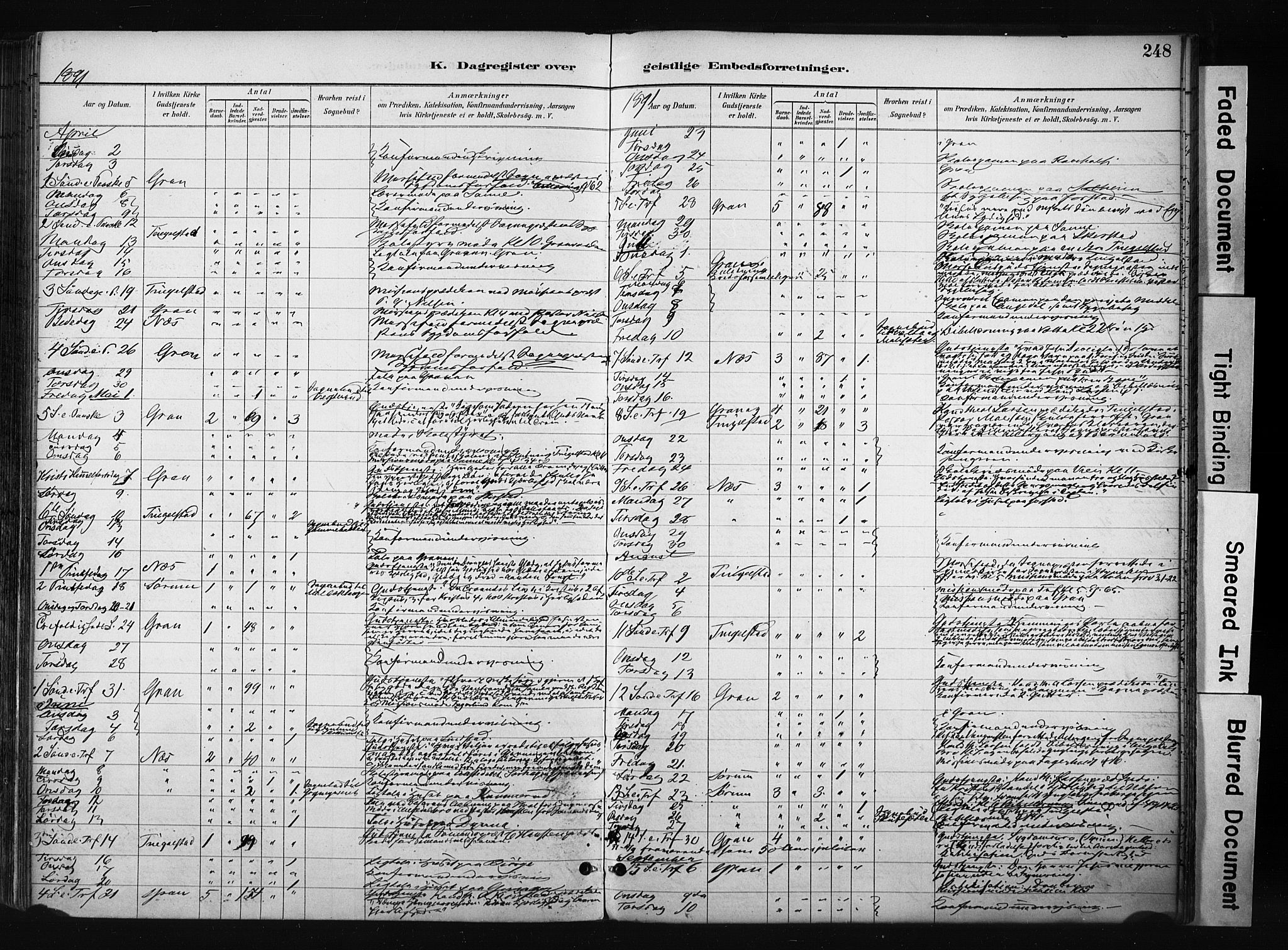 Gran prestekontor, SAH/PREST-112/H/Ha/Haa/L0017: Parish register (official) no. 17, 1889-1897, p. 248
