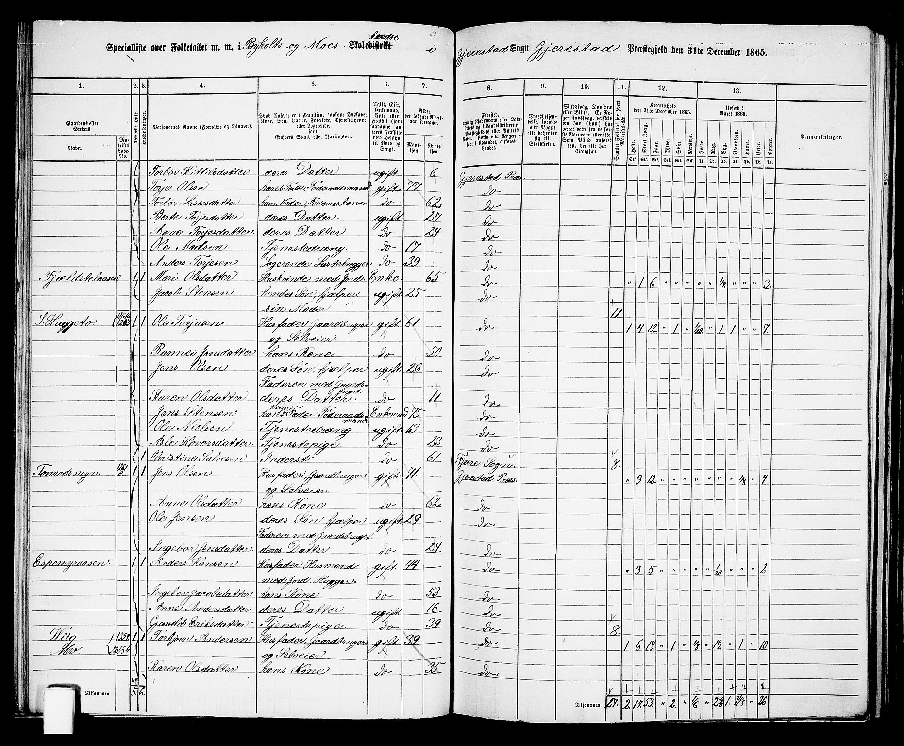 RA, 1865 census for Gjerstad, 1865, p. 41