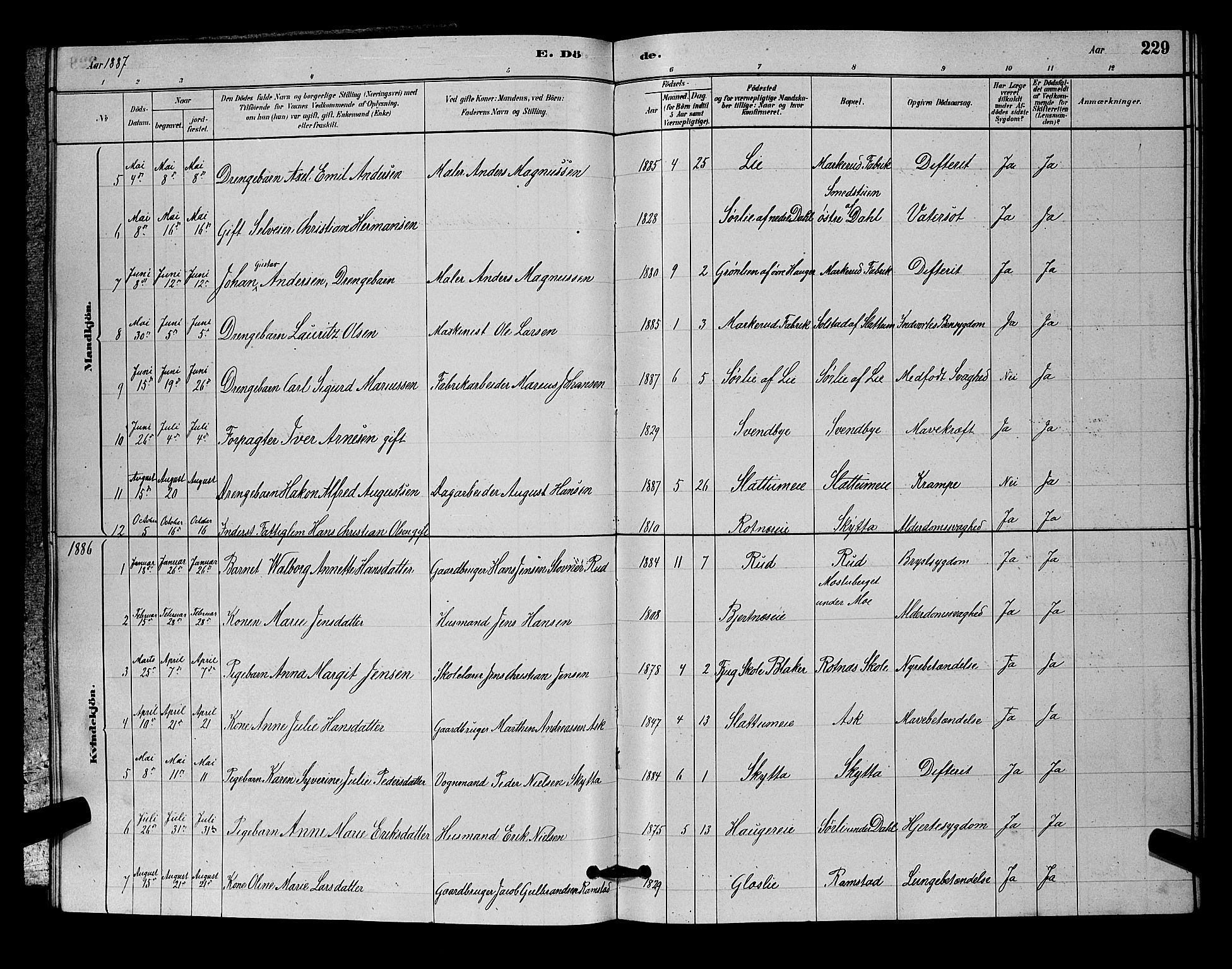 Nittedal prestekontor Kirkebøker, SAO/A-10365a/G/Ga/L0002: Parish register (copy) no. I 2, 1879-1901, p. 229