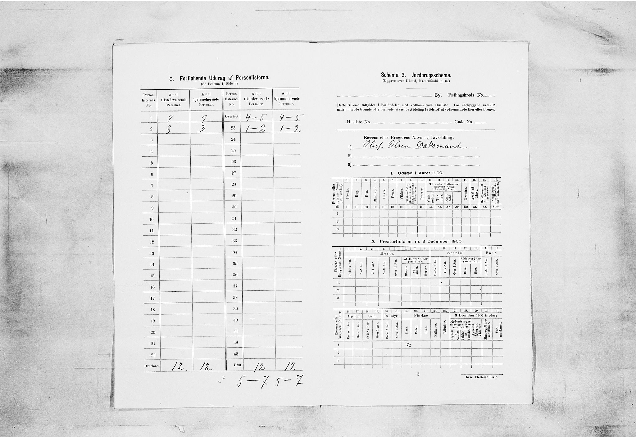 SAKO, 1900 census for Skien, 1900, p. 2327