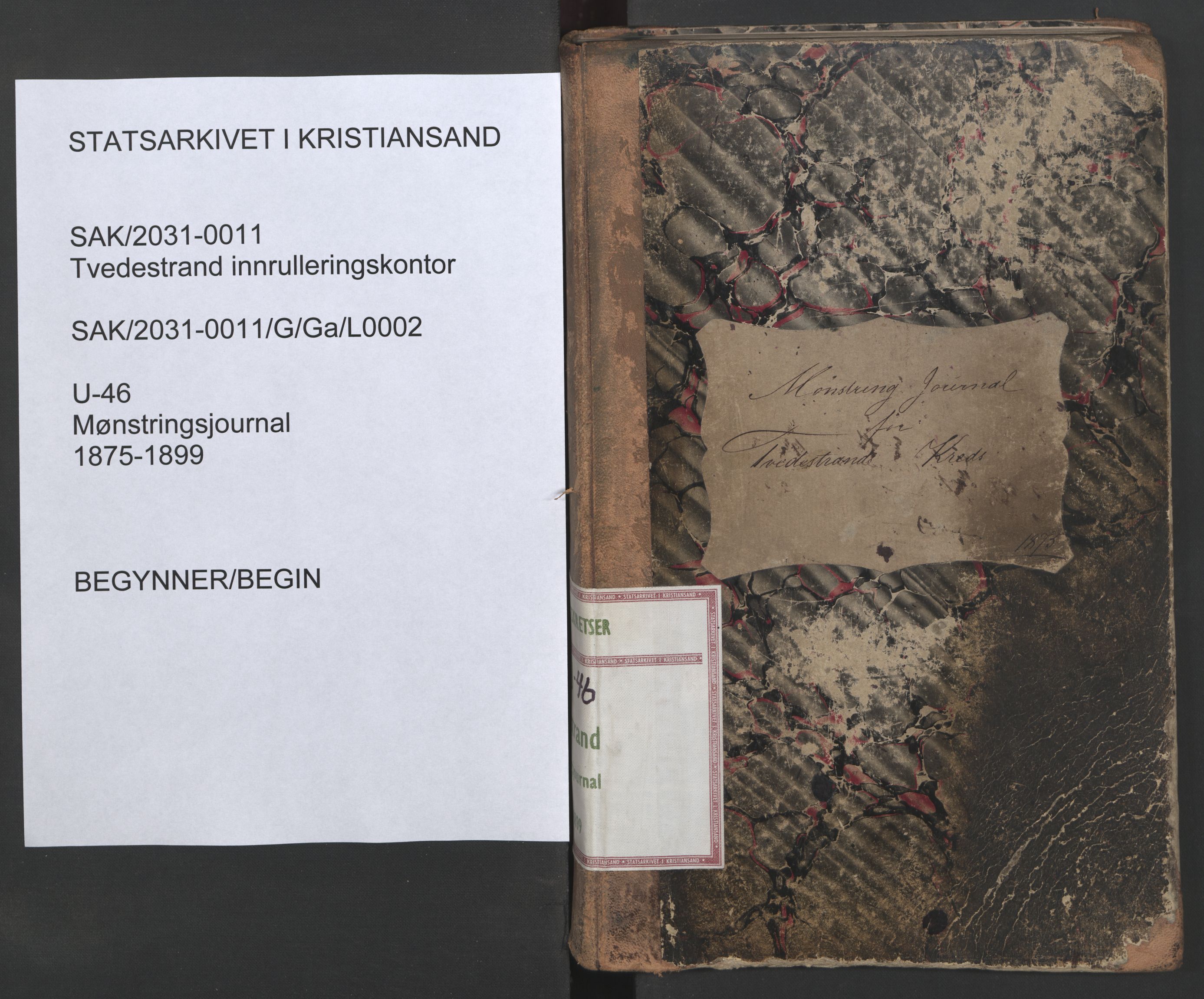 Tvedestrand mønstringskrets, SAK/2031-0011/G/Ga/L0002: Mønstringsjournal, U-46, 1875-1899, p. 1