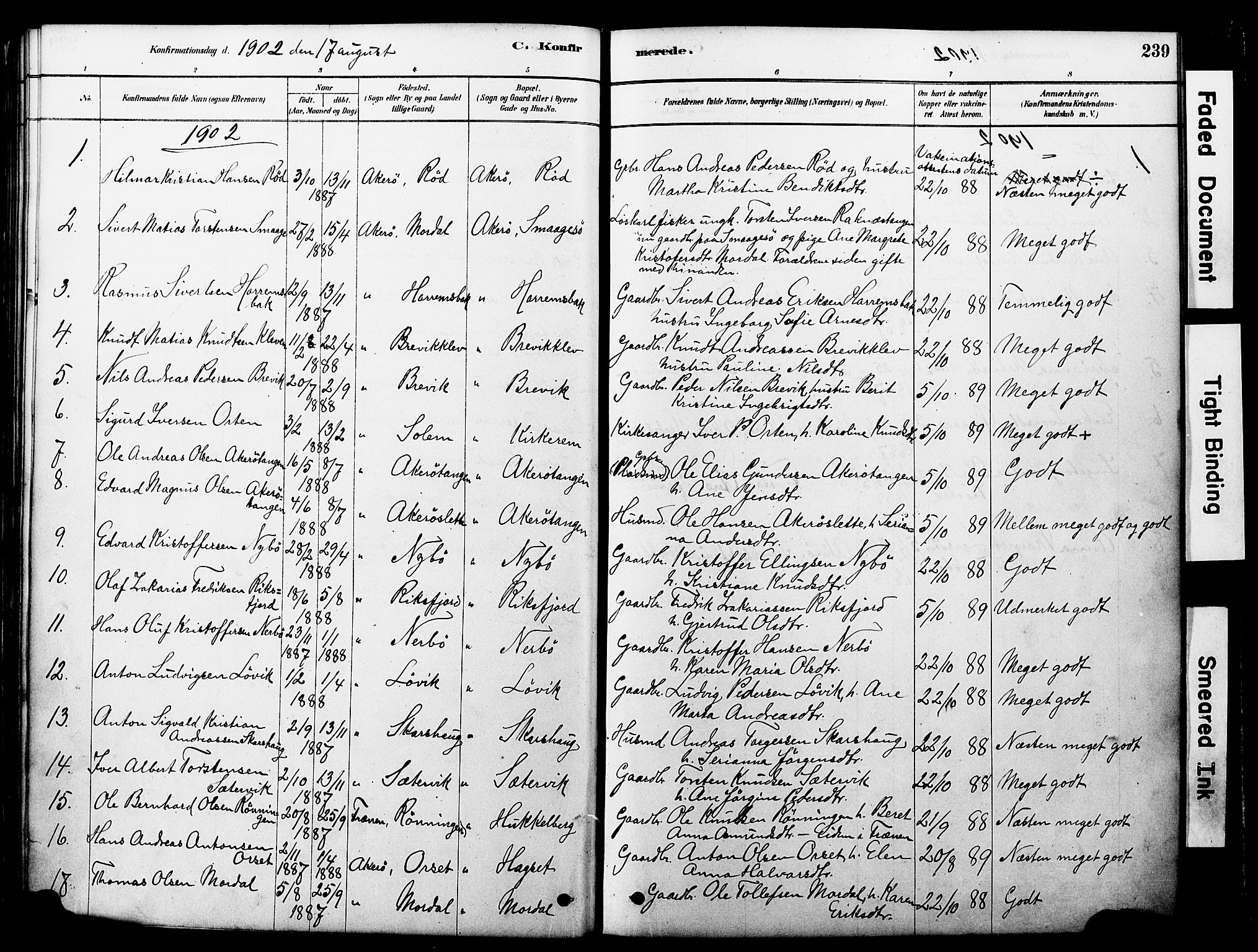 Ministerialprotokoller, klokkerbøker og fødselsregistre - Møre og Romsdal, AV/SAT-A-1454/560/L0721: Parish register (official) no. 560A05, 1878-1917, p. 239