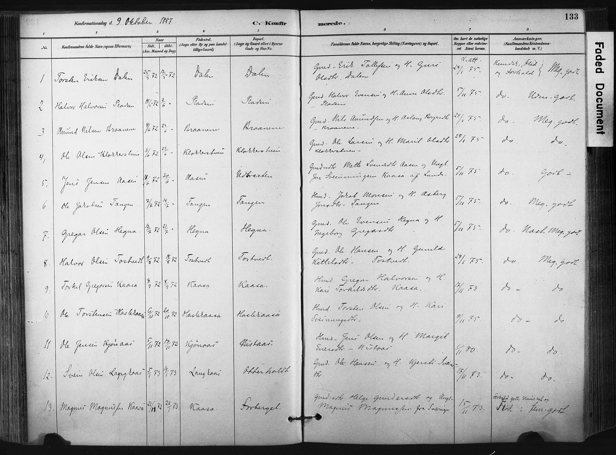 Bø kirkebøker, SAKO/A-257/F/Fa/L0010: Parish register (official) no. 10, 1880-1892, p. 133