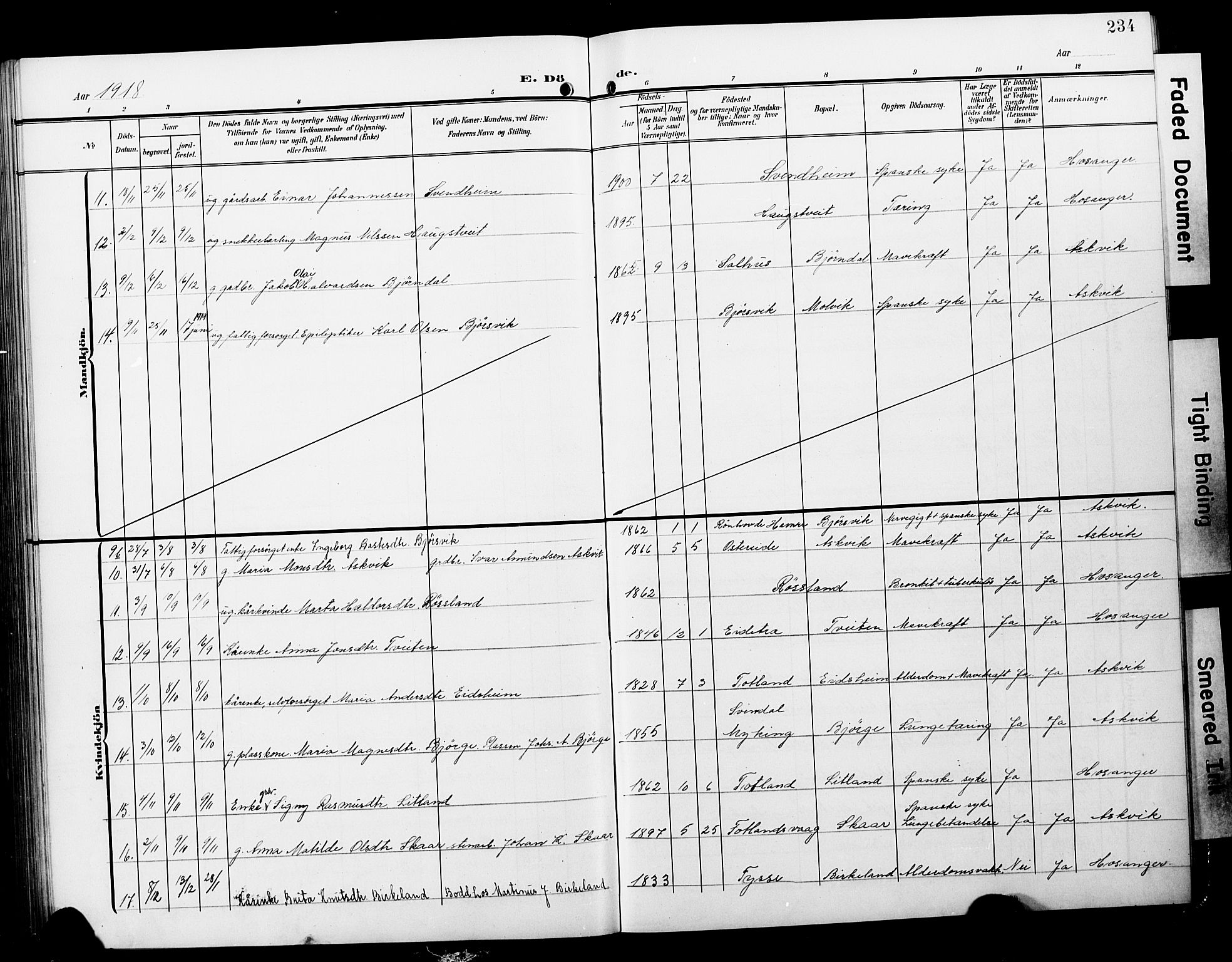 Hosanger sokneprestembete, AV/SAB-A-75801/H/Hab: Parish register (copy) no. A 4, 1904-1927, p. 234