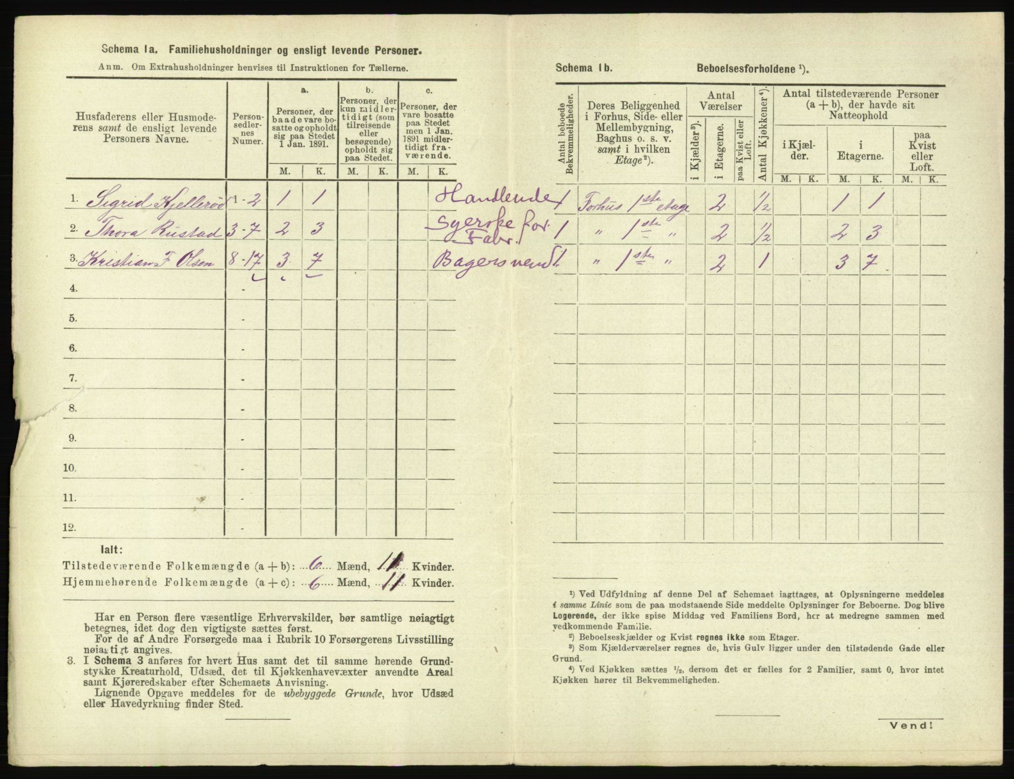 RA, 1891 census for 0104 Moss, 1891, p. 849