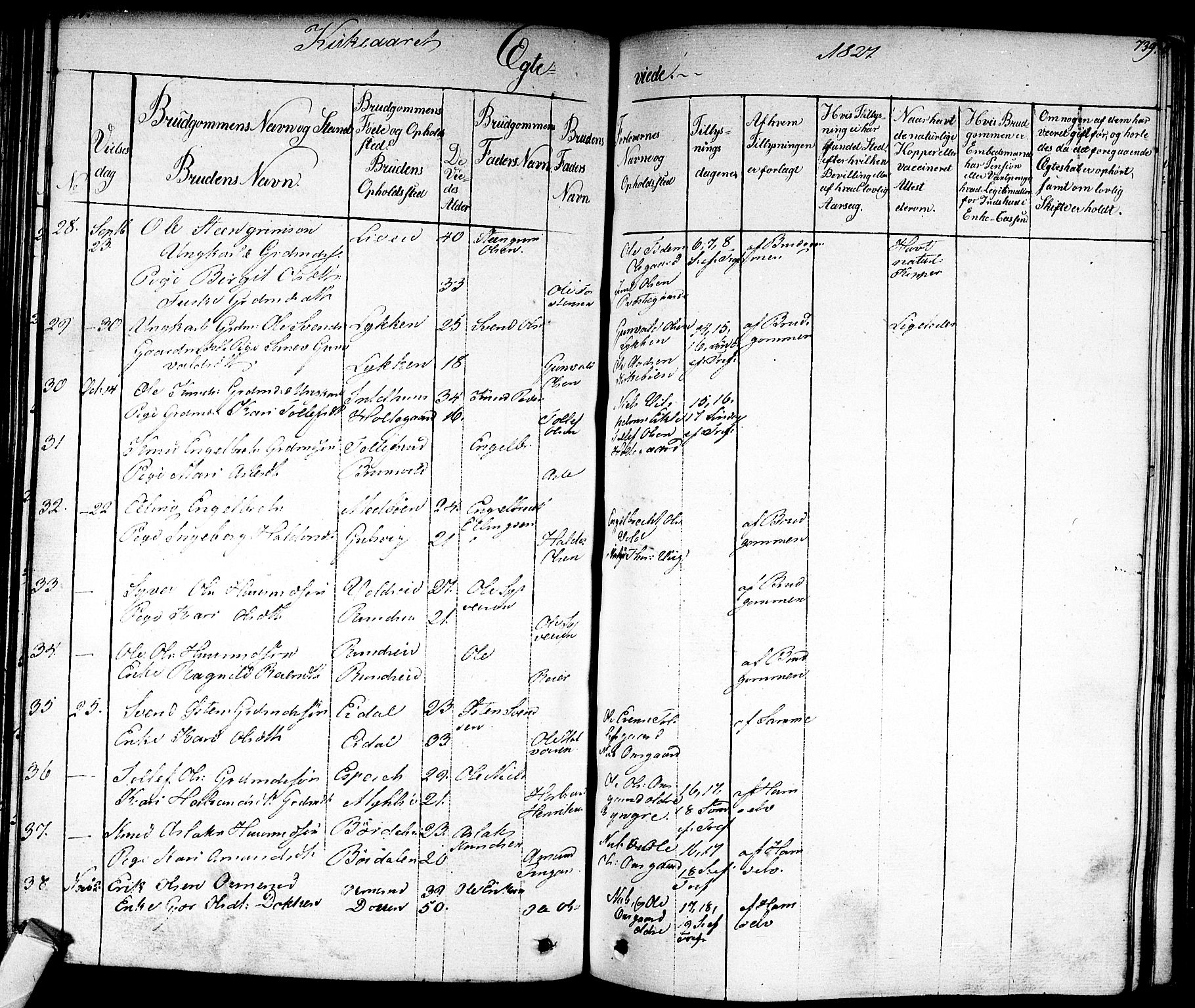 Nes kirkebøker, AV/SAKO-A-236/F/Fa/L0008: Parish register (official) no. 8, 1824-1834, p. 738-739