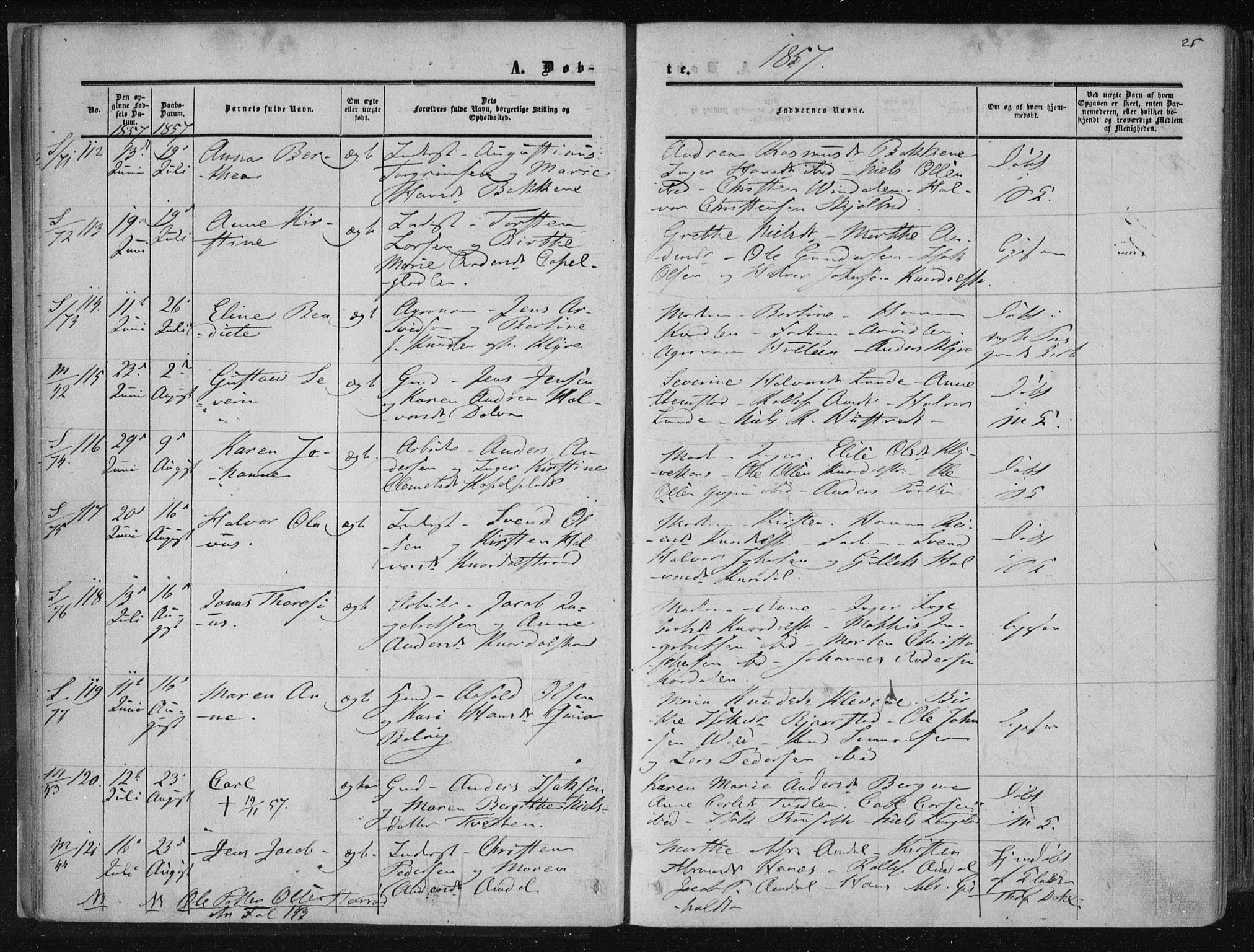Solum kirkebøker, SAKO/A-306/F/Fa/L0007: Parish register (official) no. I 7, 1856-1864, p. 25