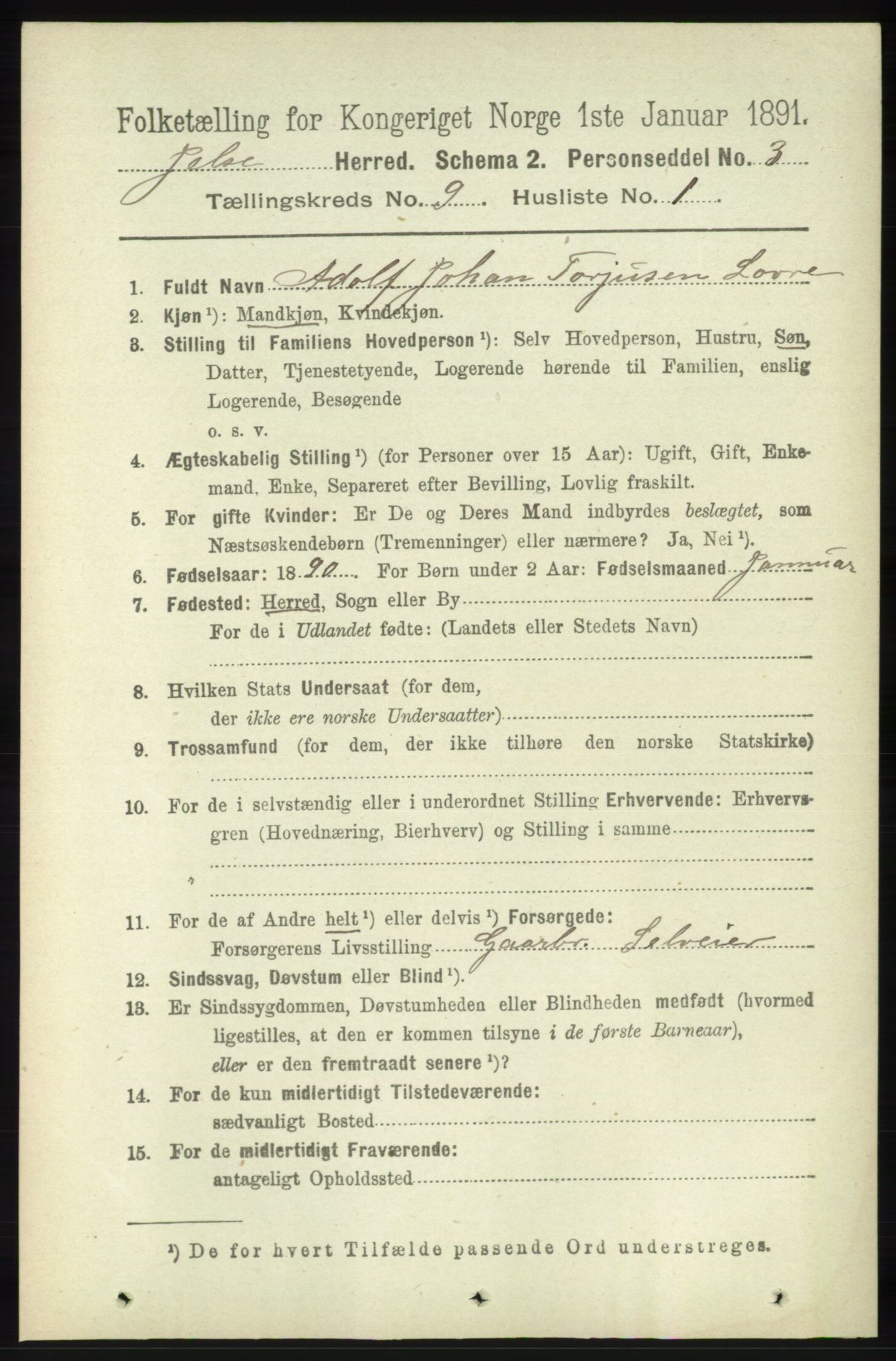 RA, 1891 census for 1138 Jelsa, 1891, p. 2072