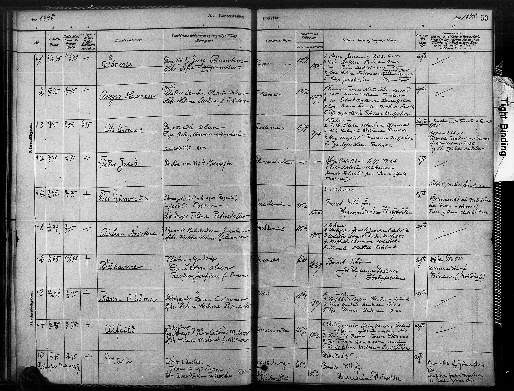 Austre Moland sokneprestkontor, SAK/1111-0001/F/Fa/Fab/L0001: Parish register (official) no. A 1, 1878-1898, p. 53