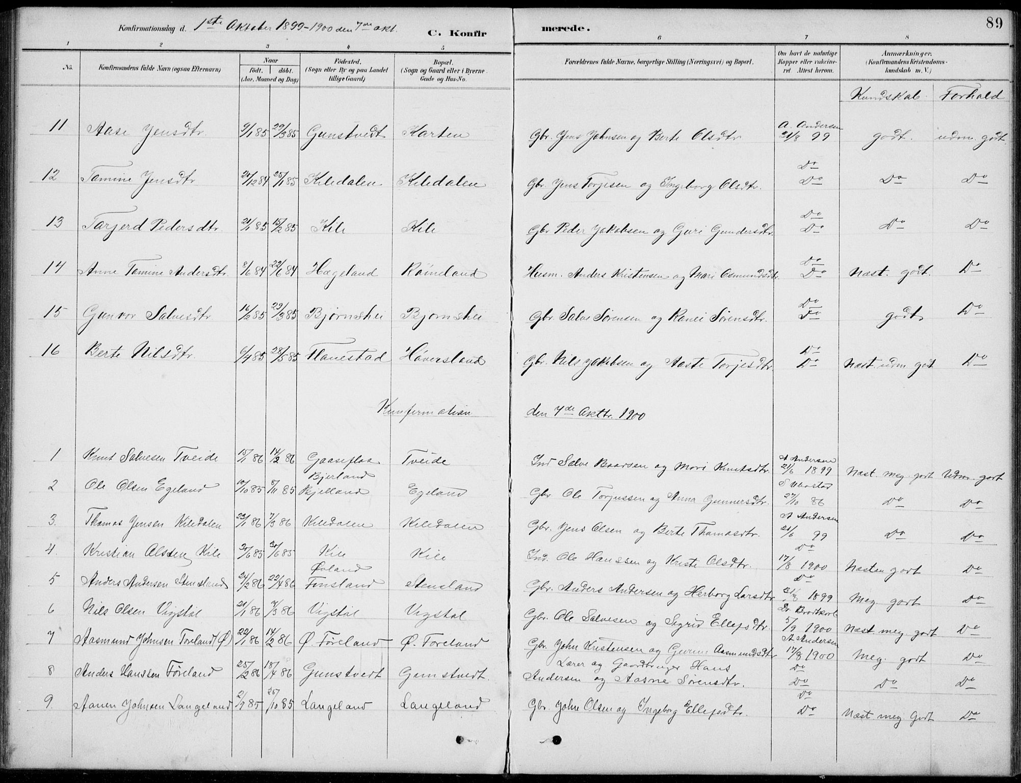 Vennesla sokneprestkontor, AV/SAK-1111-0045/Fb/Fba/L0003: Parish register (copy) no. B 3, 1890-1919, p. 89