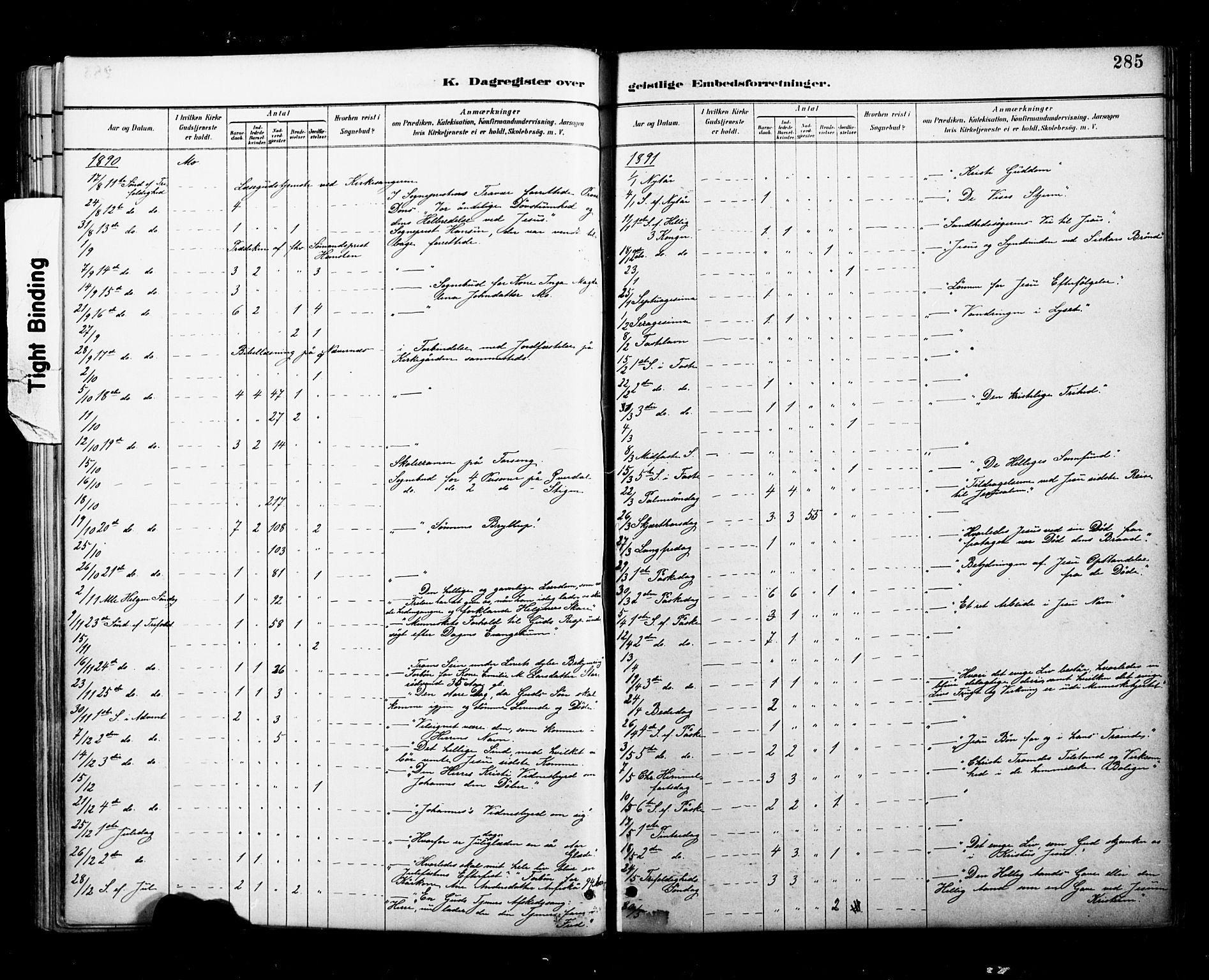 Ministerialprotokoller, klokkerbøker og fødselsregistre - Nordland, AV/SAT-A-1459/827/L0401: Parish register (official) no. 827A13, 1887-1905, p. 285