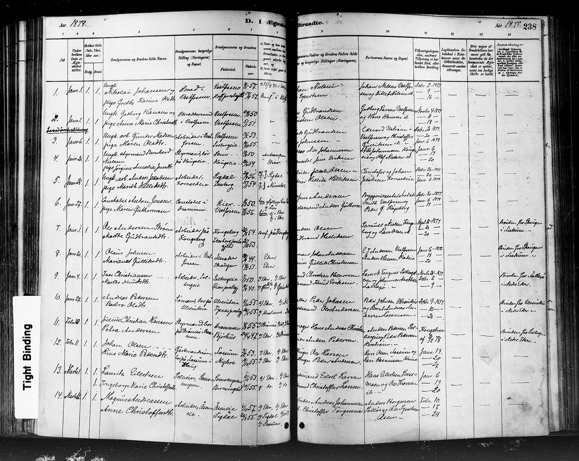 Eiker kirkebøker, SAKO/A-4/F/Fb/L0001: Parish register (official) no. II 1, 1878-1888, p. 238