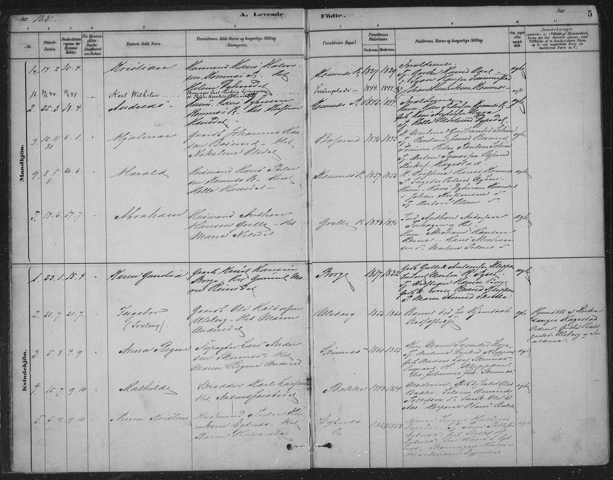 Sandsvær kirkebøker, AV/SAKO-A-244/F/Fe/L0001: Parish register (official) no. V 1, 1878-1936, p. 5