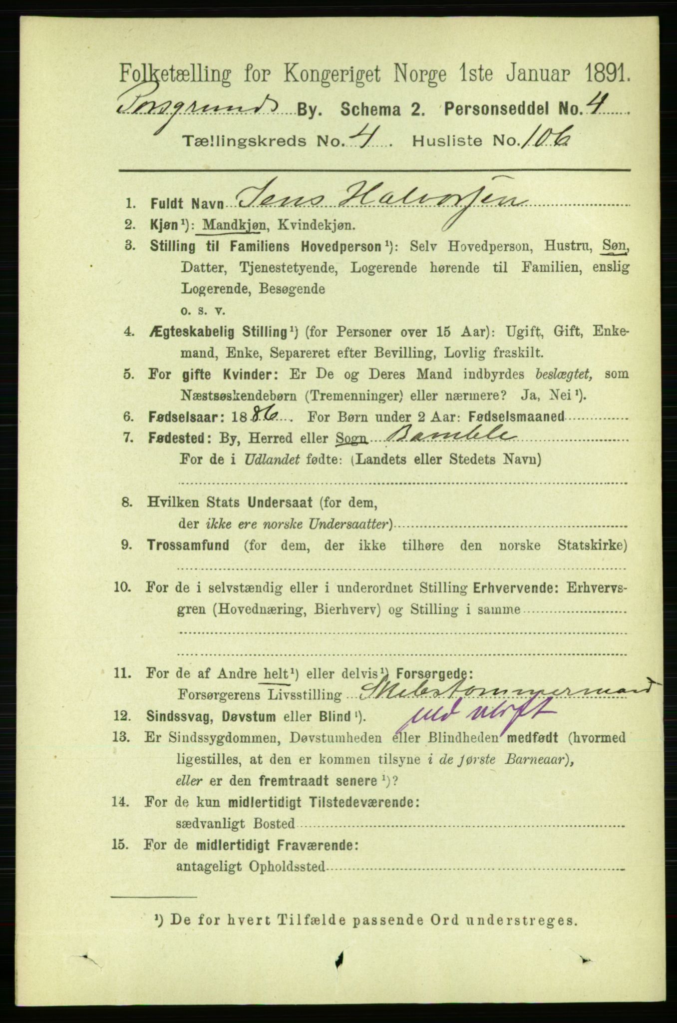 RA, 1891 census for 0805 Porsgrunn, 1891, p. 4442