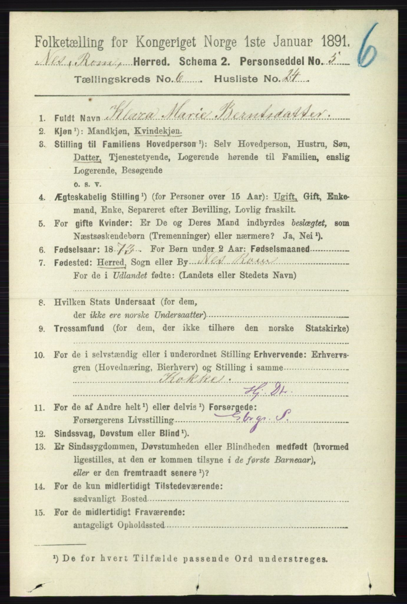 RA, 1891 census for 0236 Nes, 1891, p. 3522